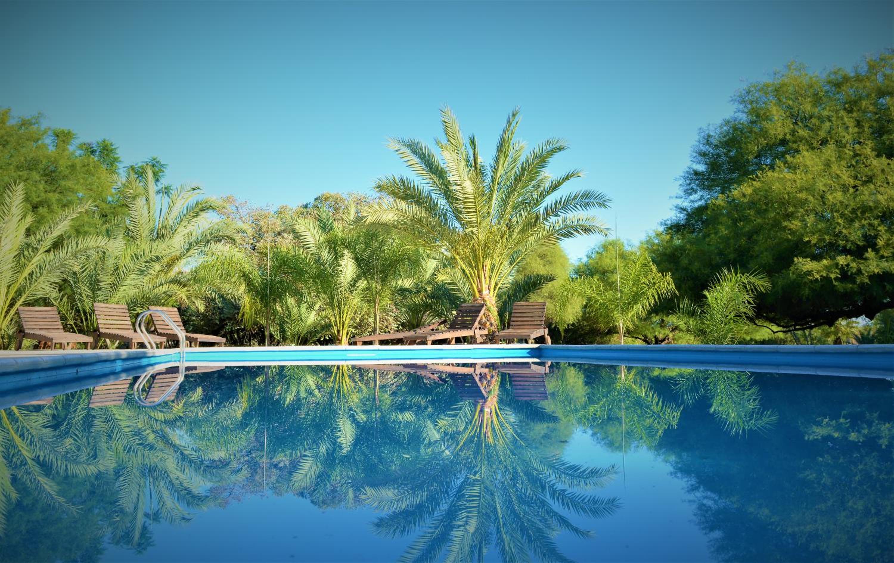 Estancia del Olivo