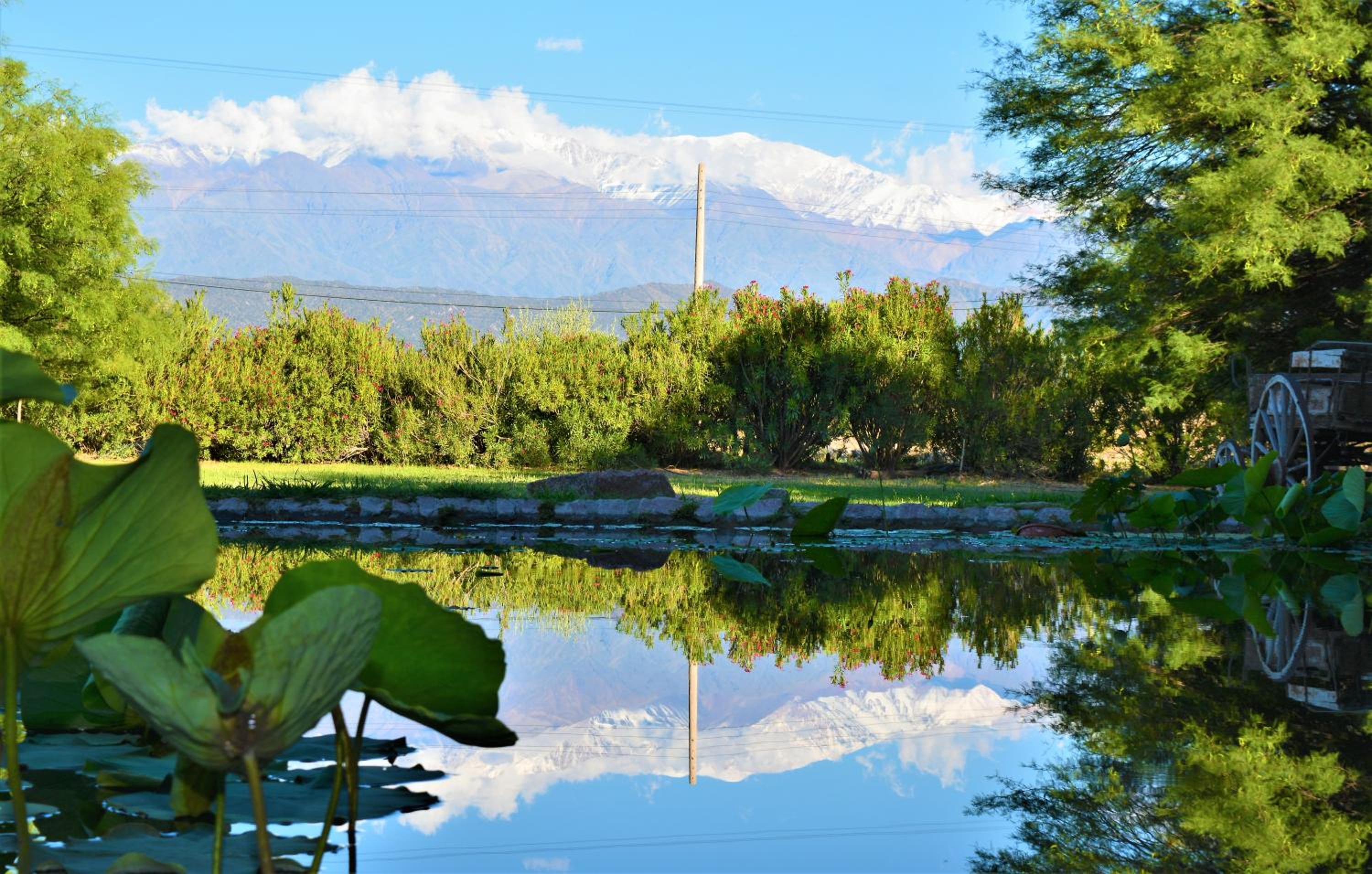 Estancia del Olivo
