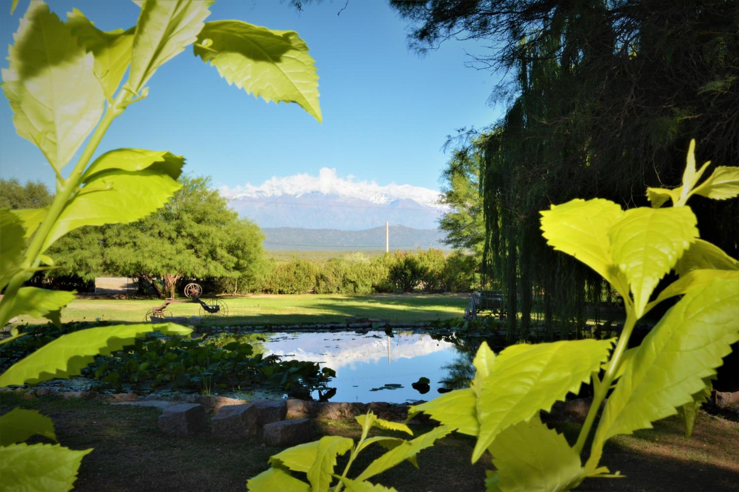 Estancia del Olivo