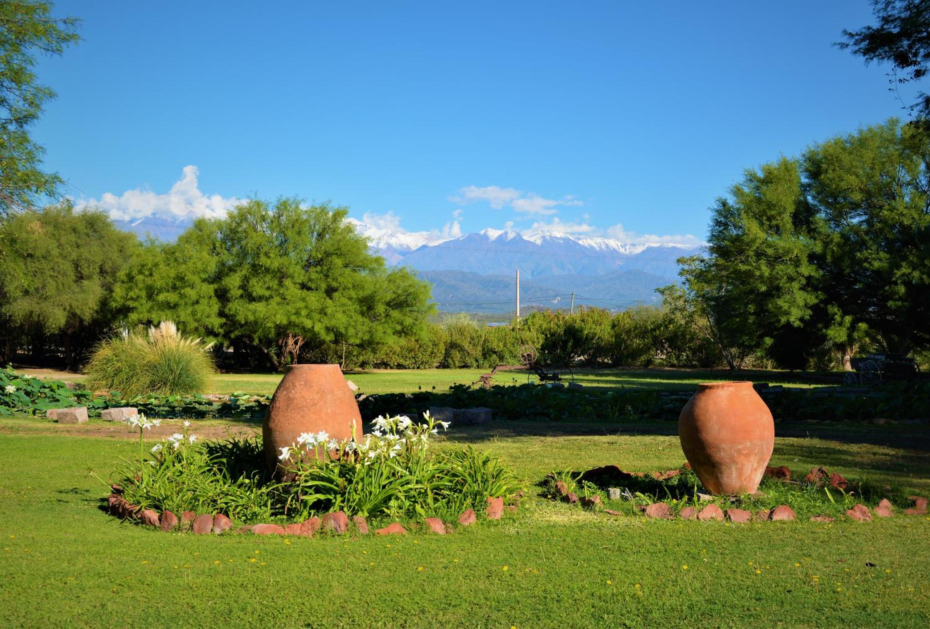 Estancia del Olivo