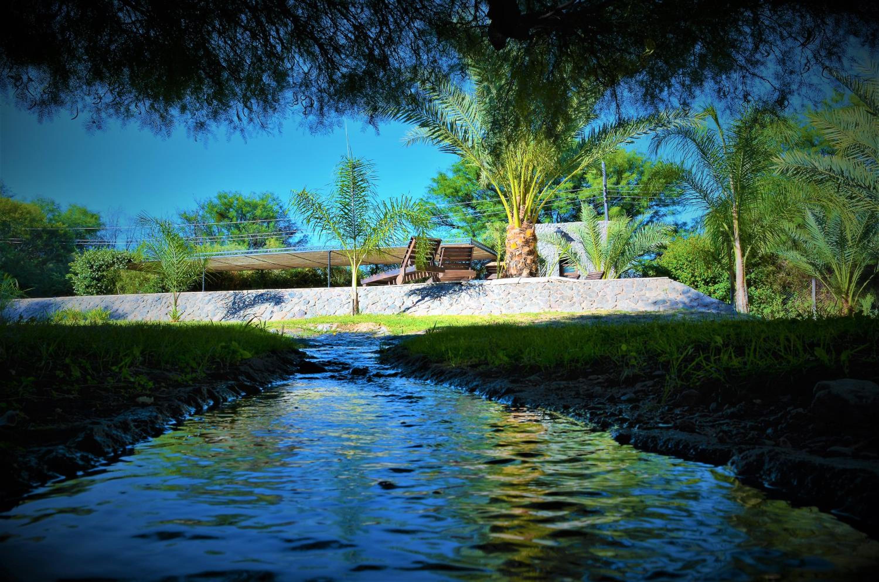 Estancia del Olivo
