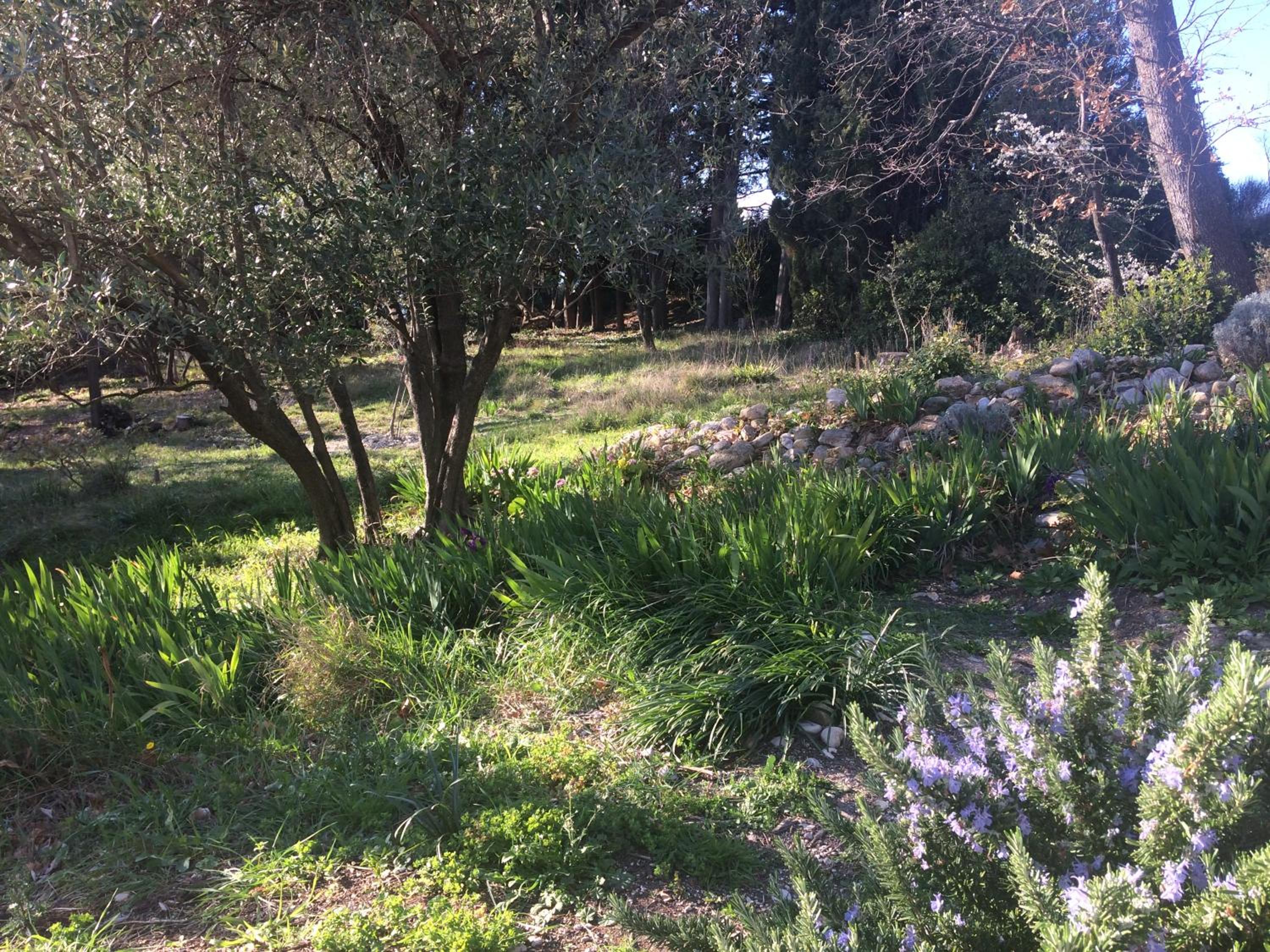 Photo 23