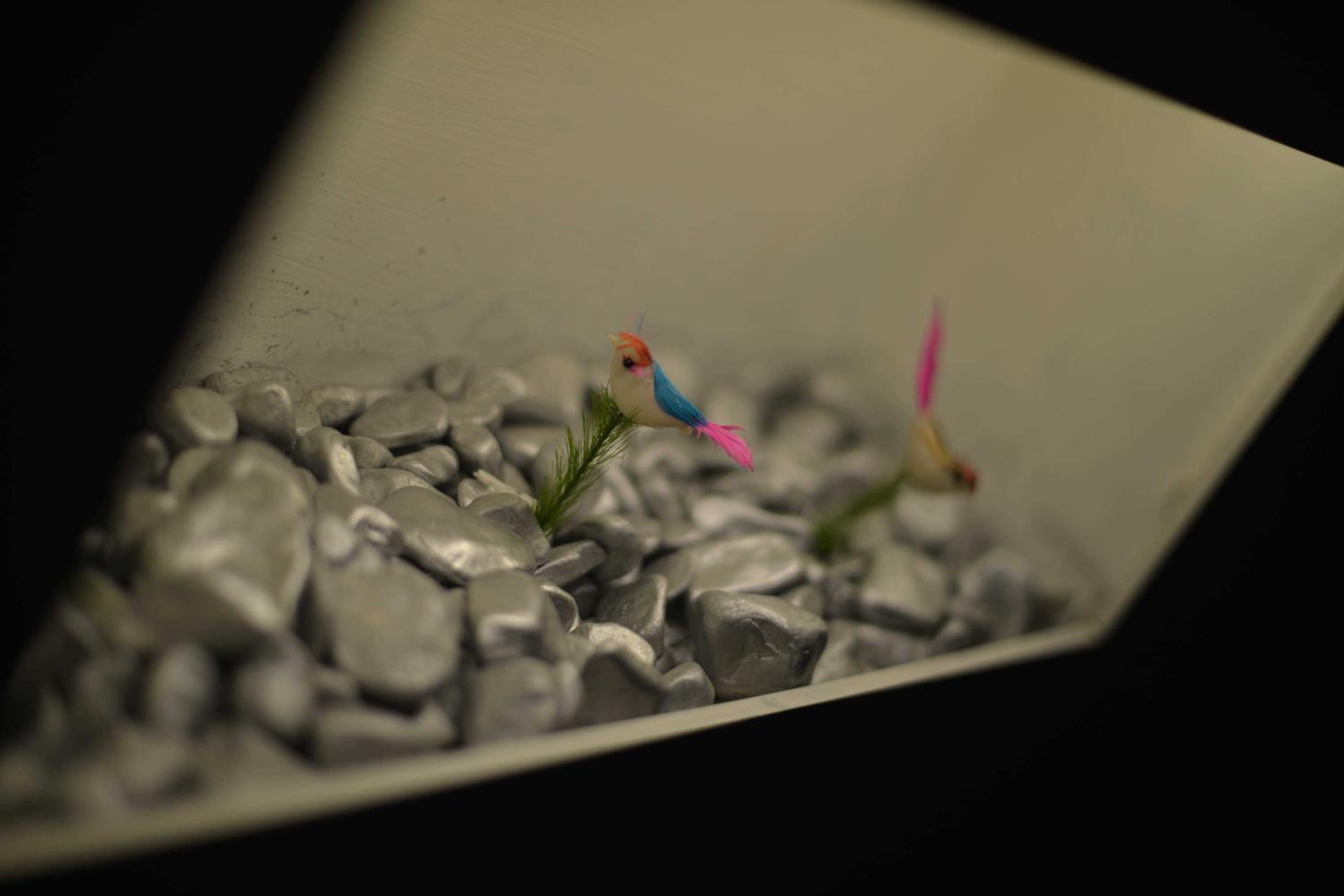 Letter Hotel - Image 16