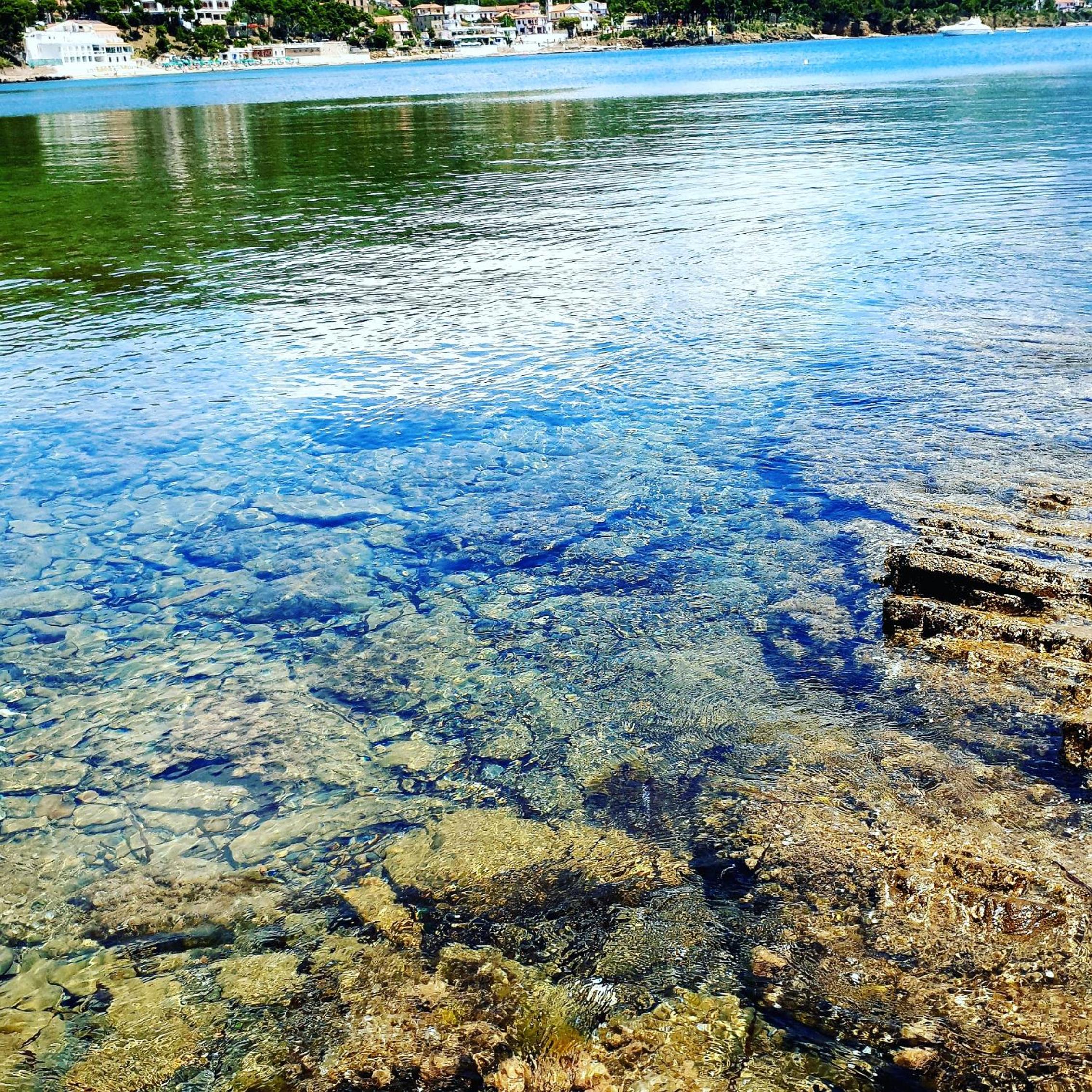 casa vacanza cilento PARDALIS view 4