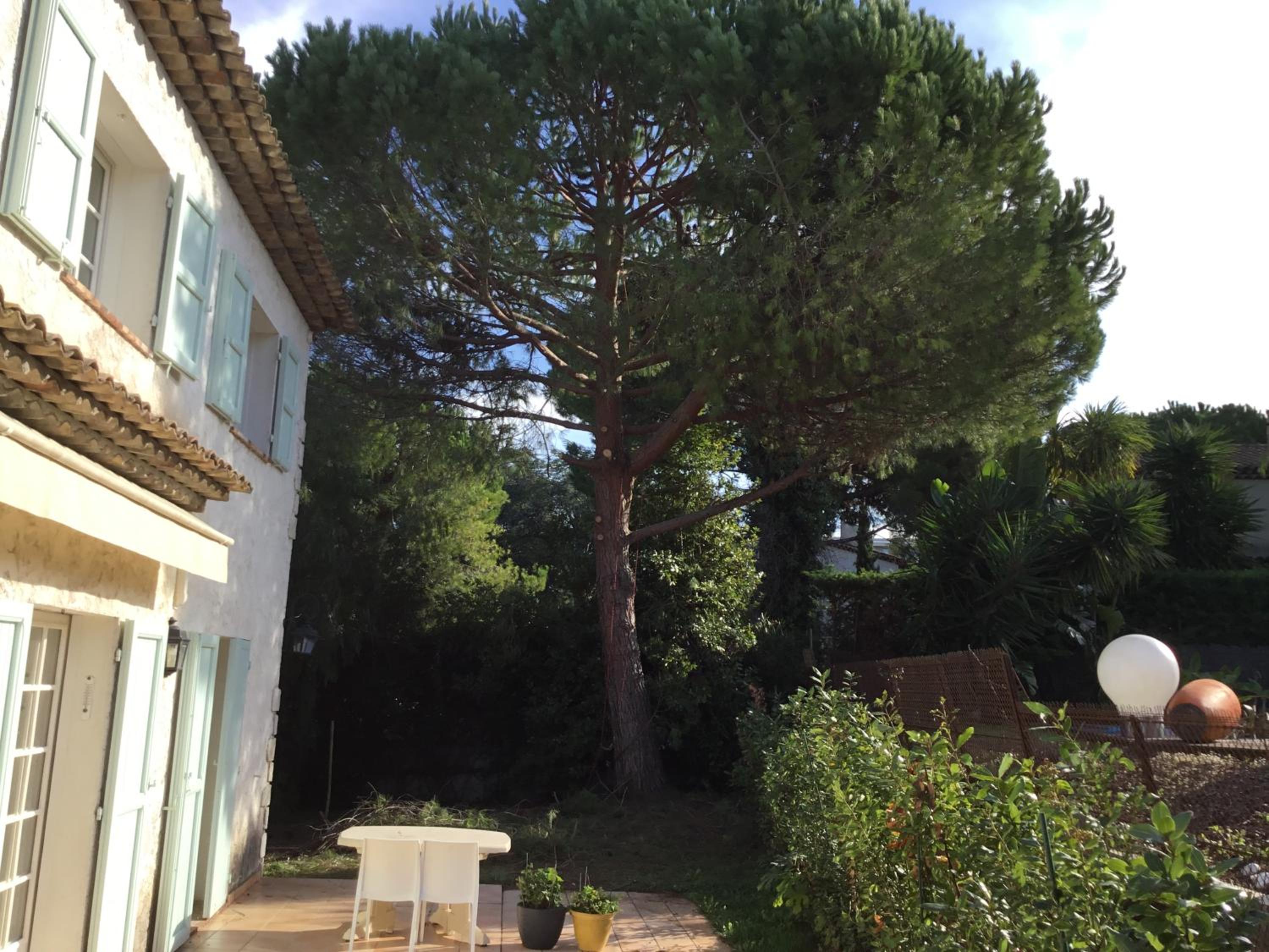 Villa Alessia