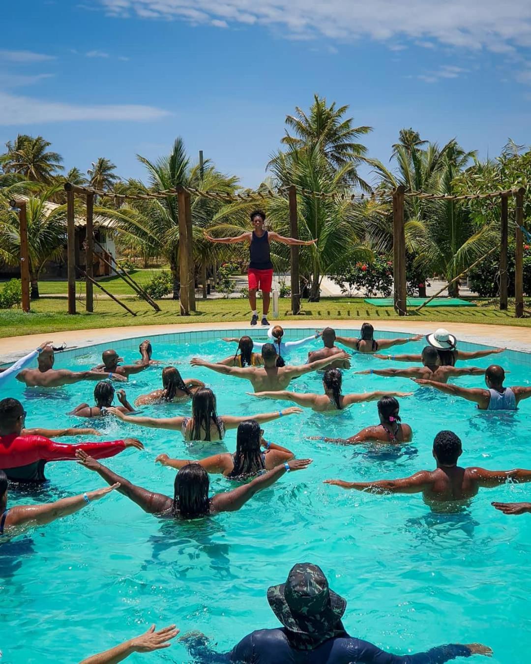 Tree Bies Resort - Oficial