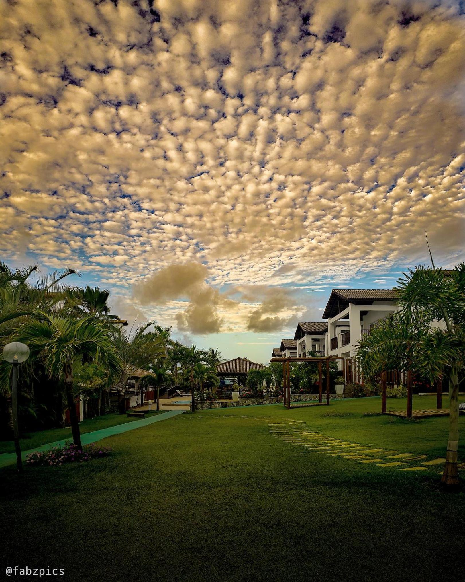 Tree Bies Resort - Oficial