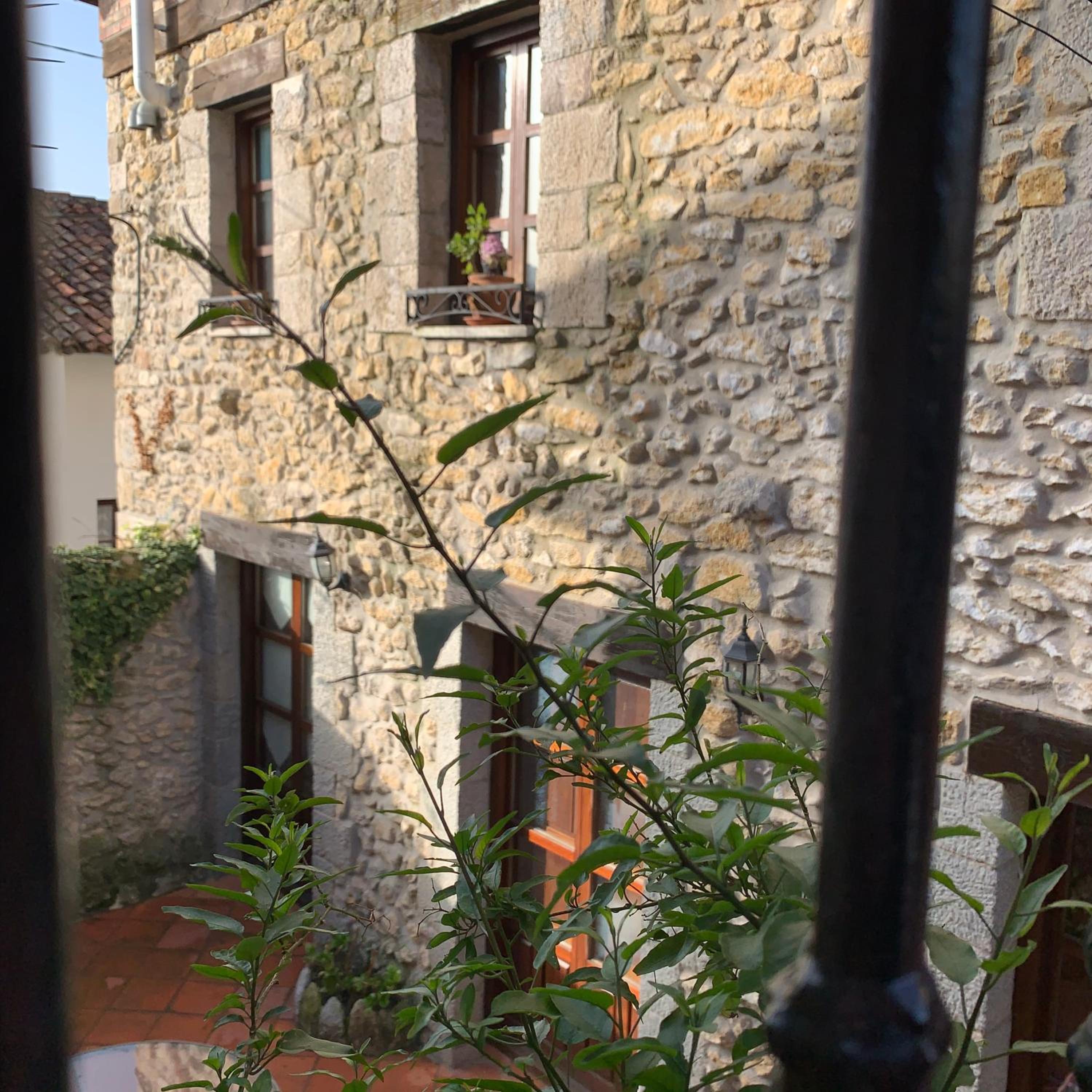 Photo 44