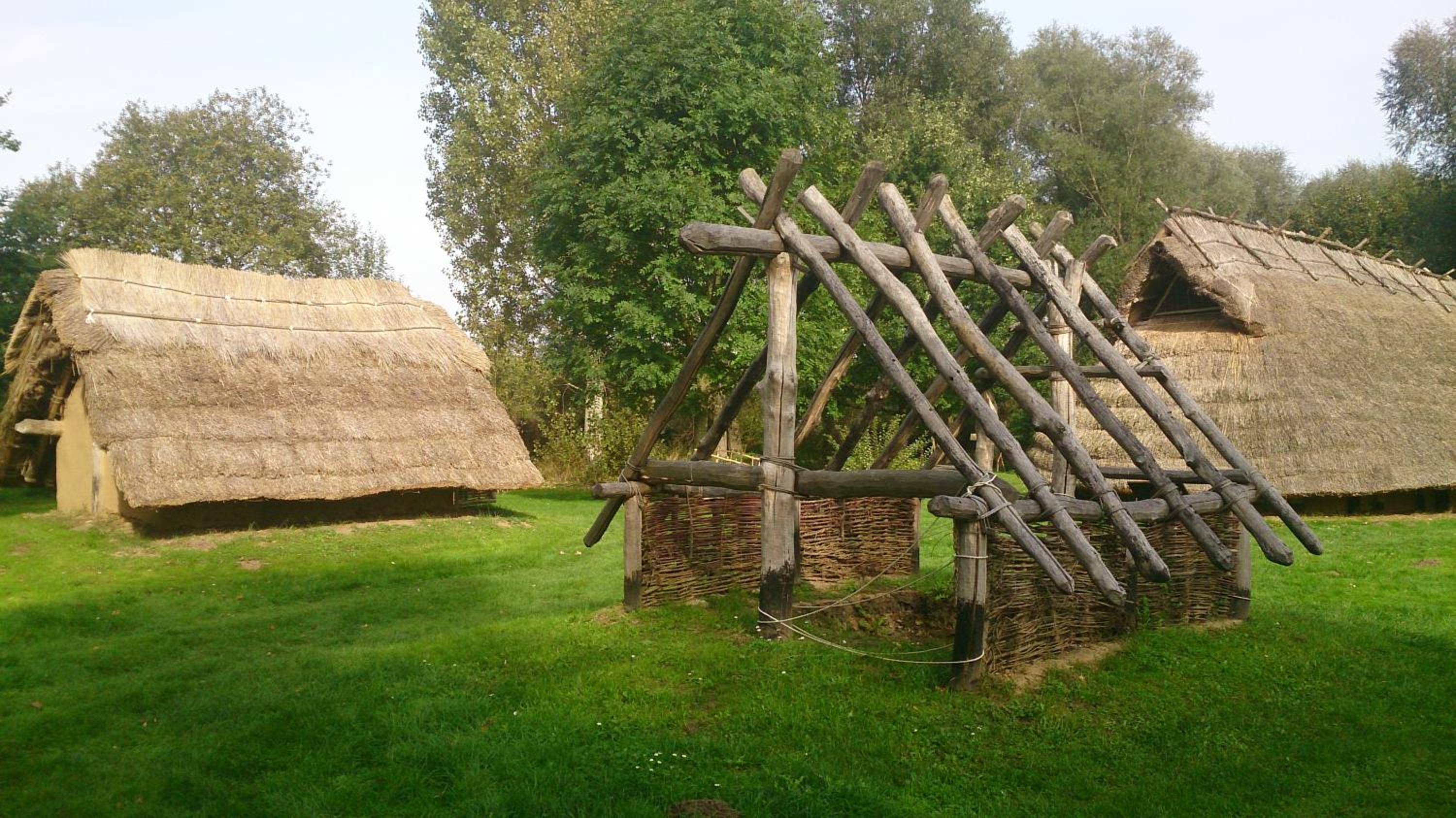Photo 26
