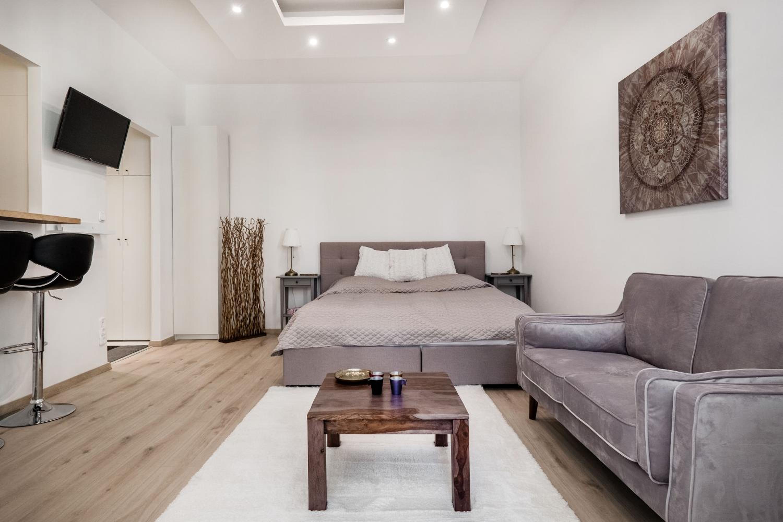 Viktoria design studio apartment view 4