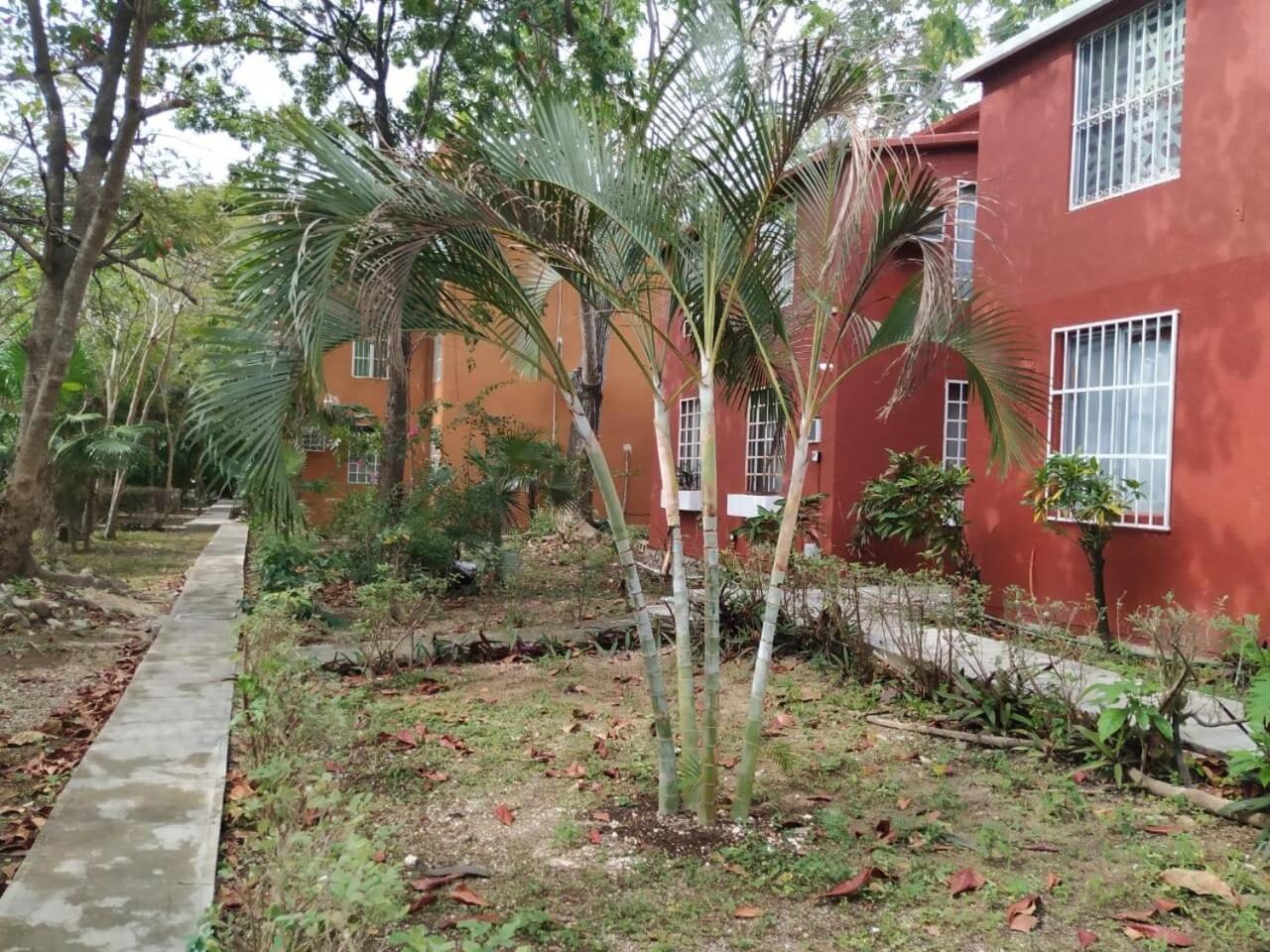 Departamento Tucán