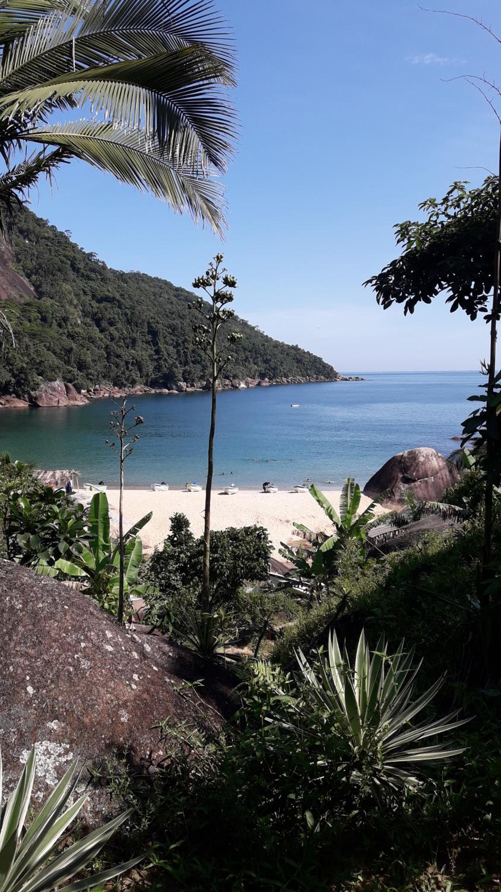 Ponta negra casa e chalé view 5