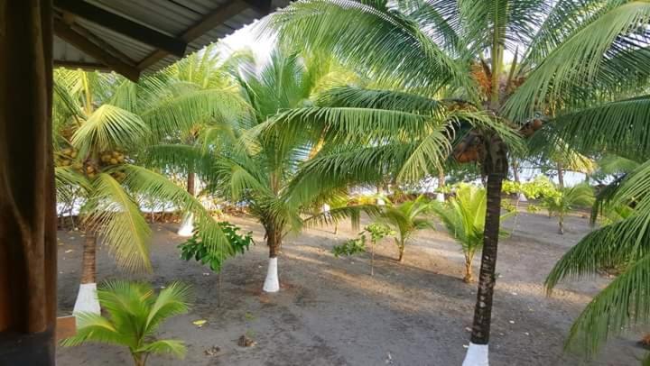 Cabaña La Kirita EcoHotel