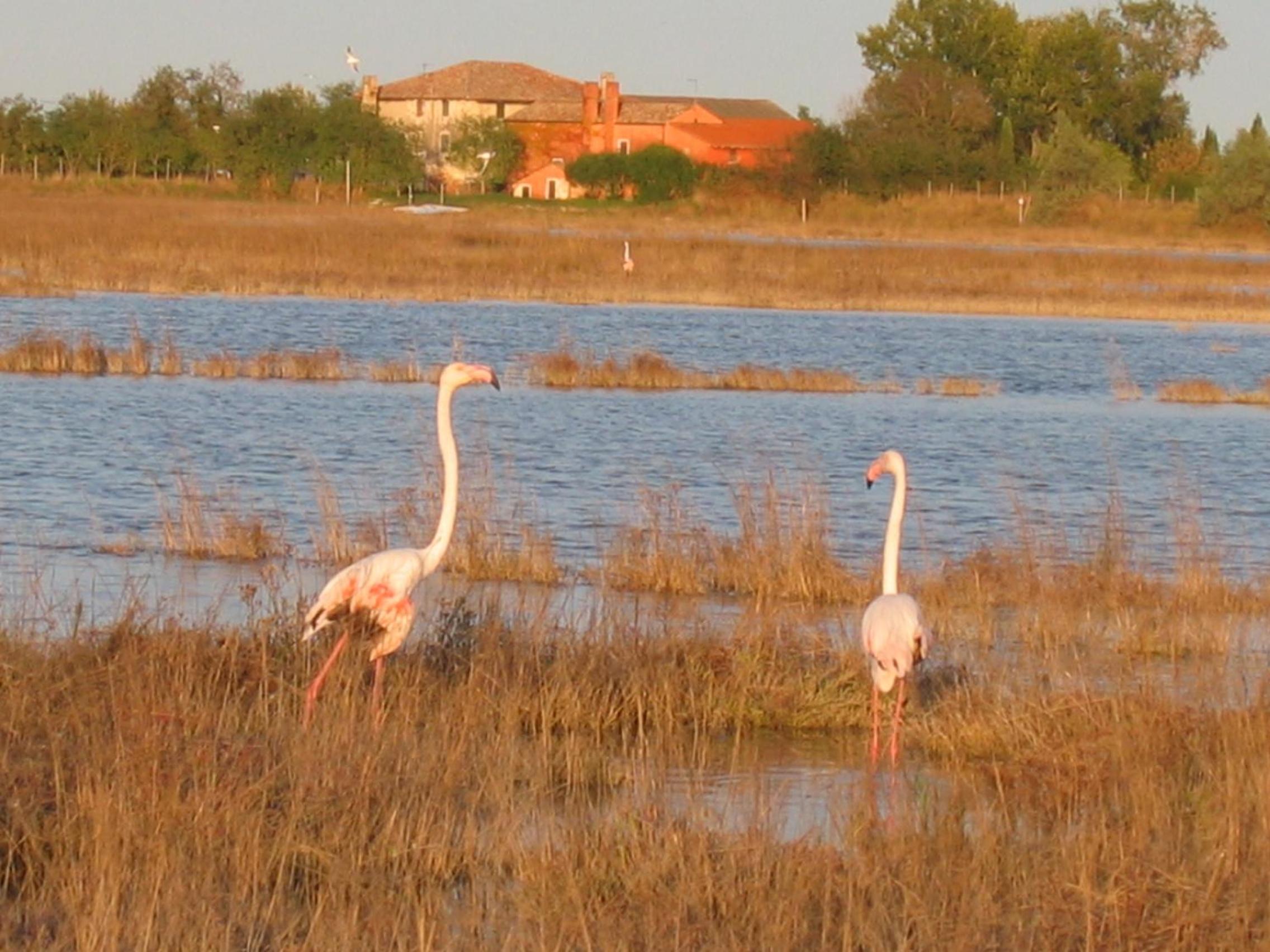 Agriturismo La Barena
