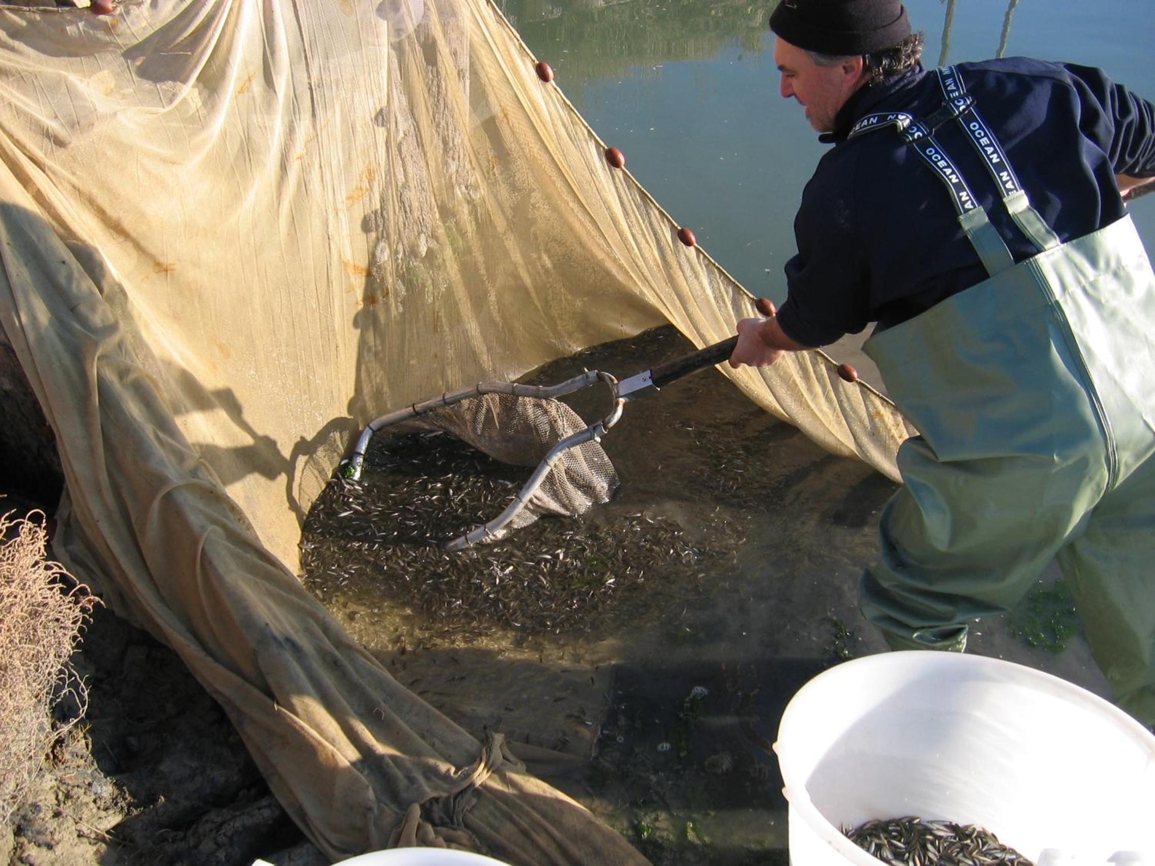 Agriturismo La Barena