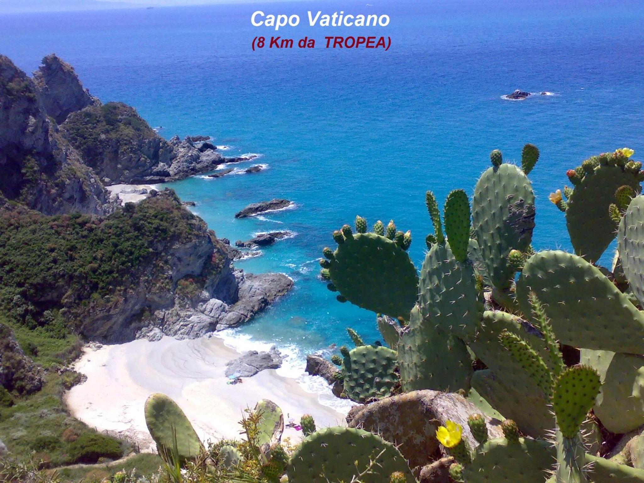 OLYMPUS ROOM photo 5