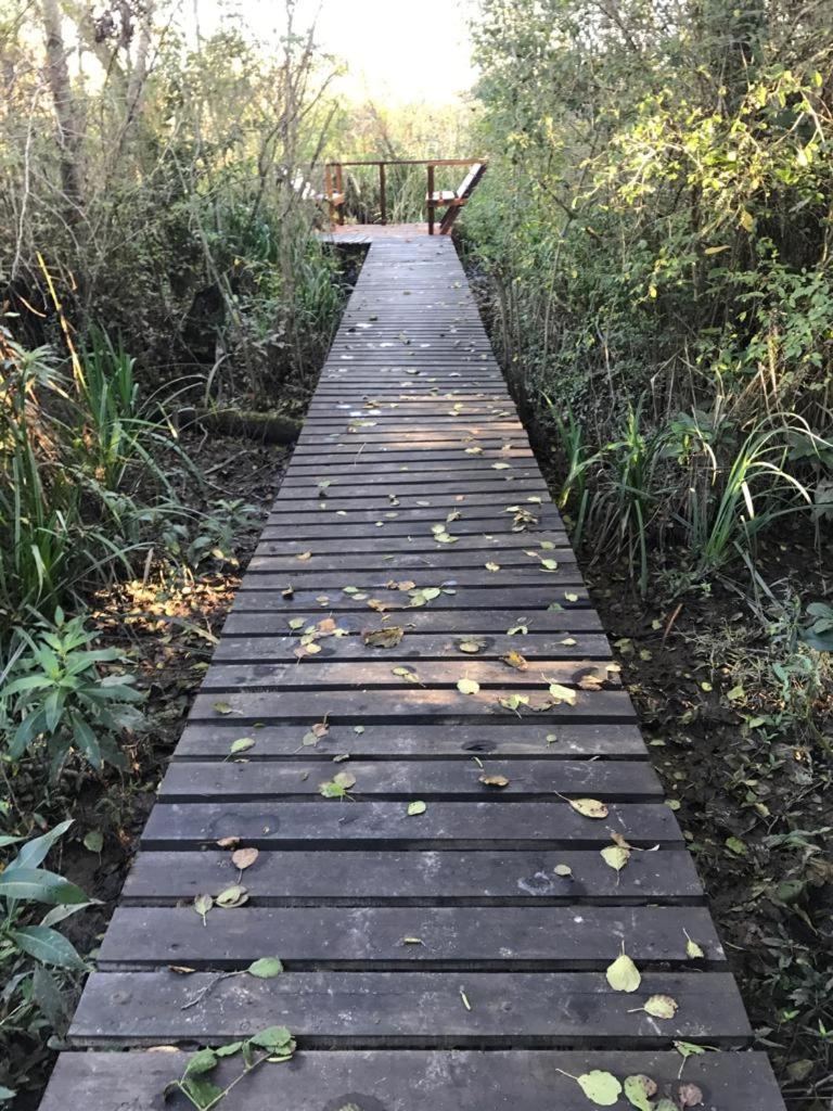 Cabaña en el Delta Arroyo Pajarito a 20 minutos de navegación