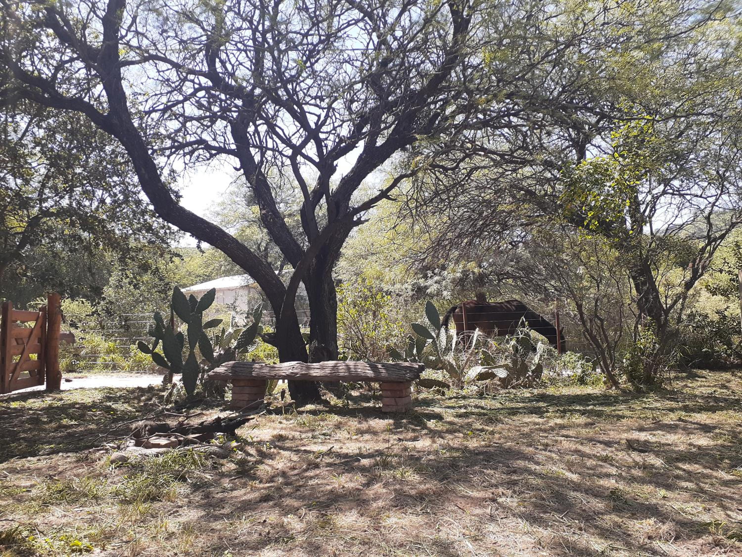 Jardin de Estrellas