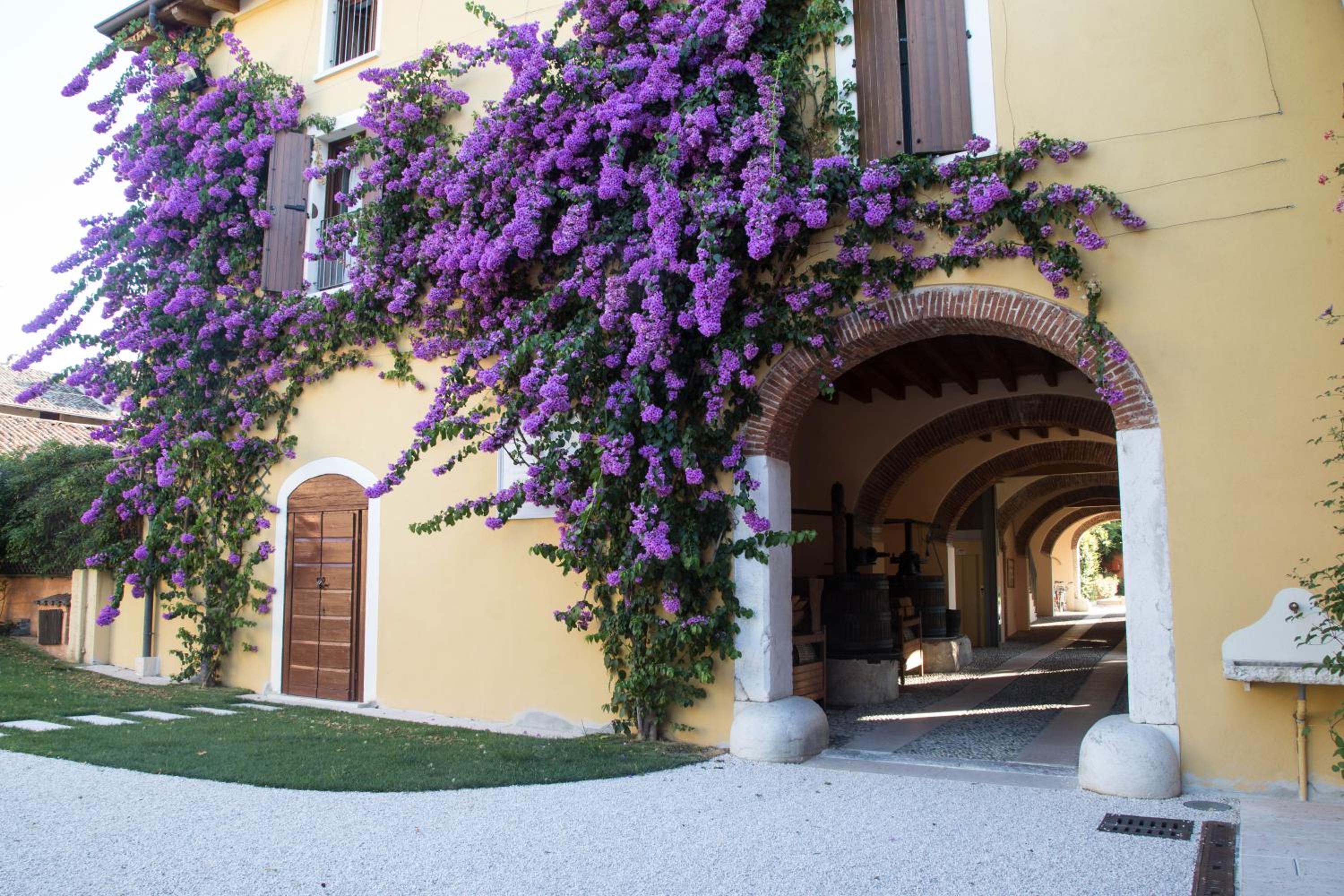 Agriturismo La Filanda