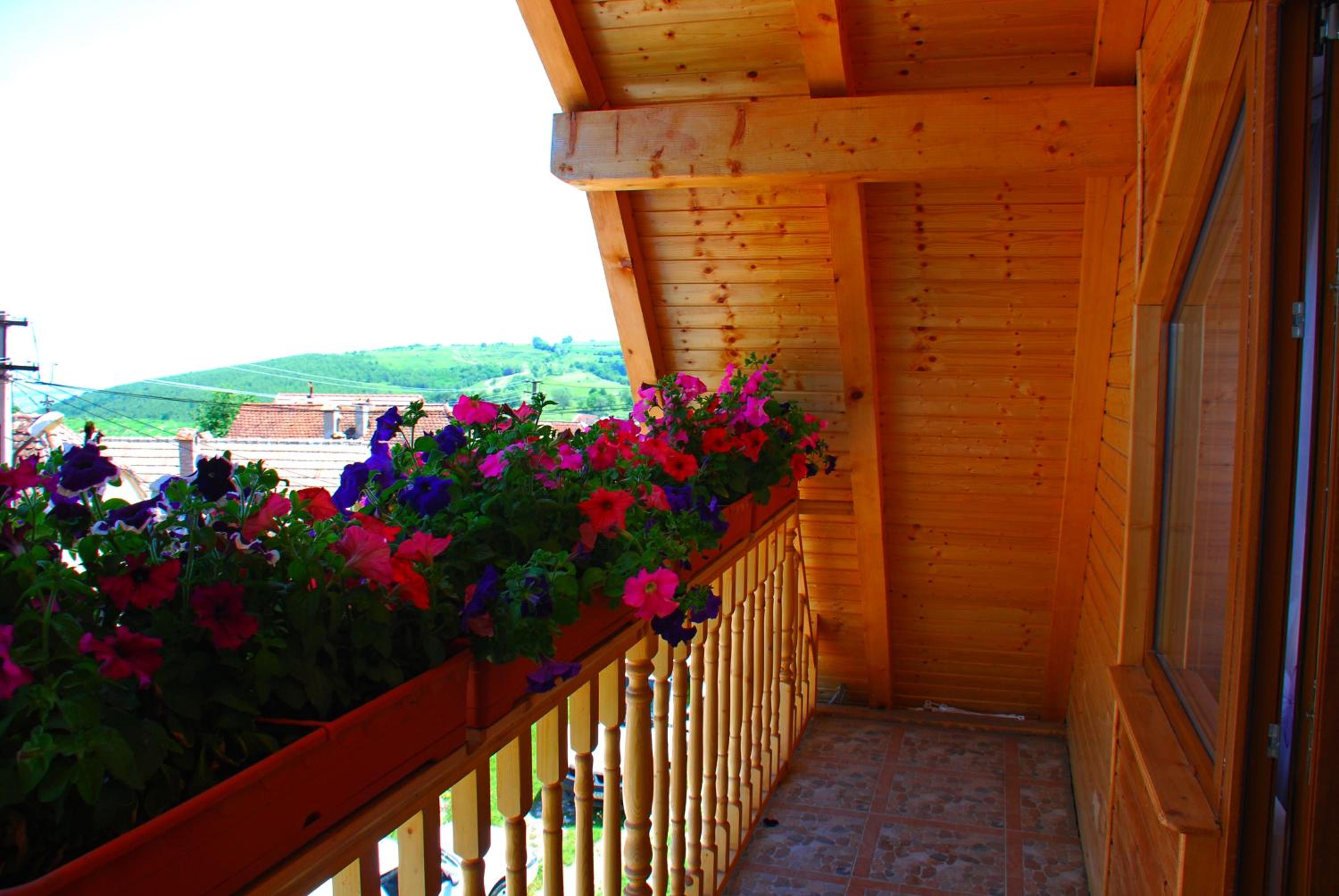 Pensiunea IULIA view 2
