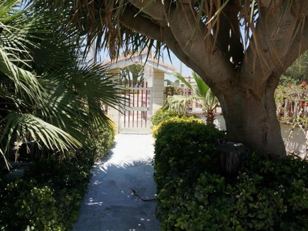 Villa Dracena VD2 photo 4