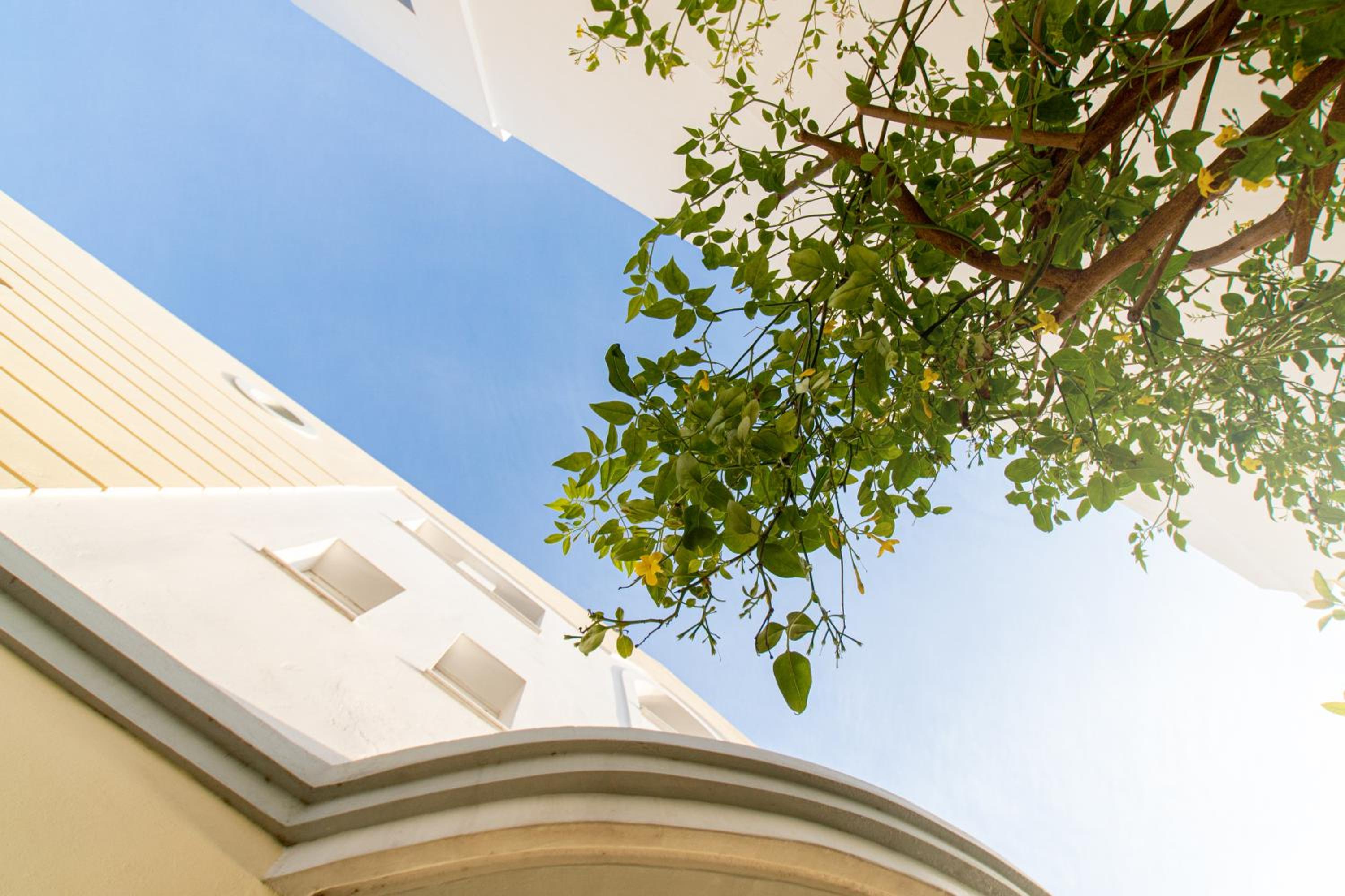 Diamante Beachfront Suites photo 3