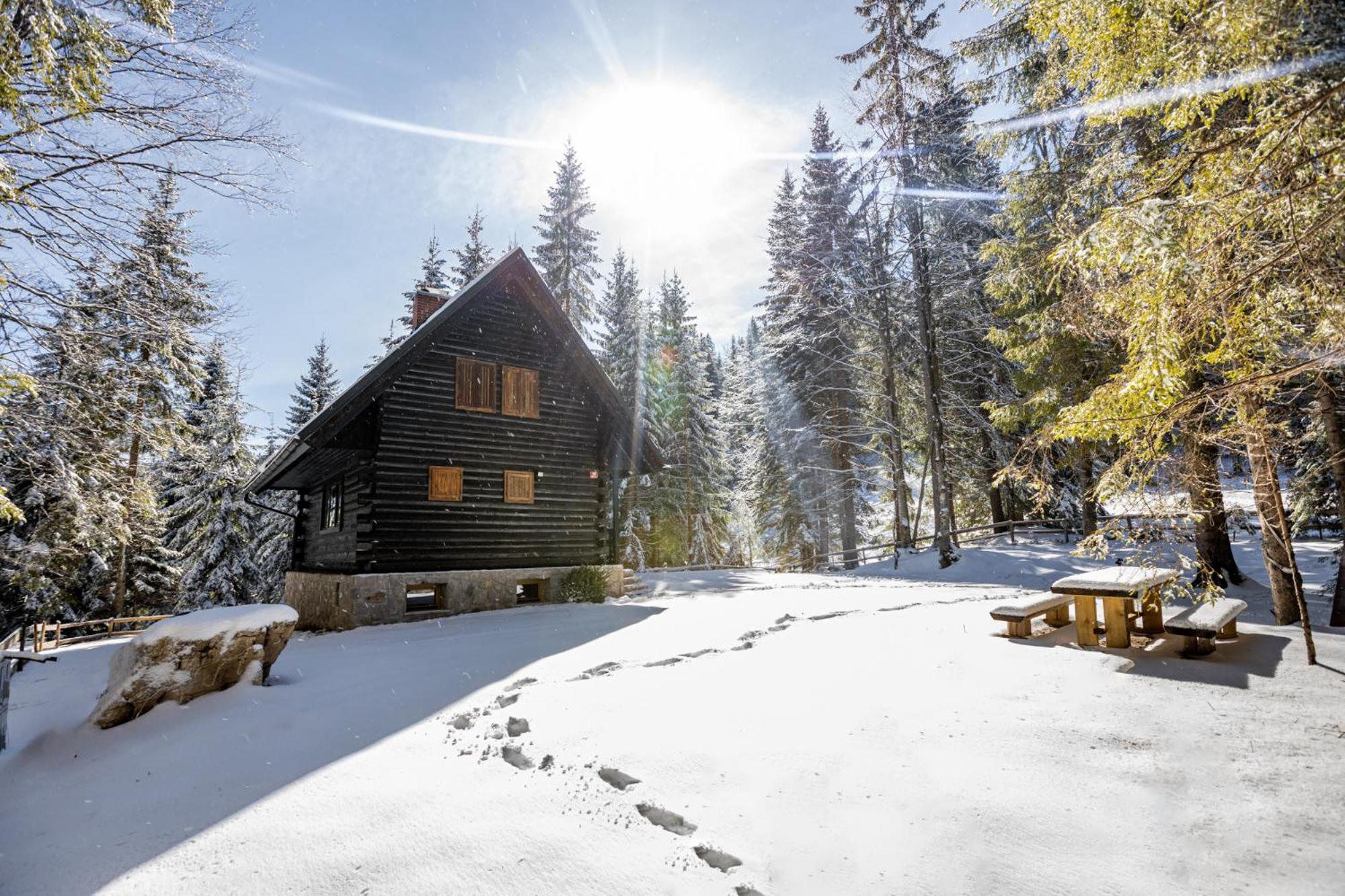 Cosy Lodge Pokljuka view 2