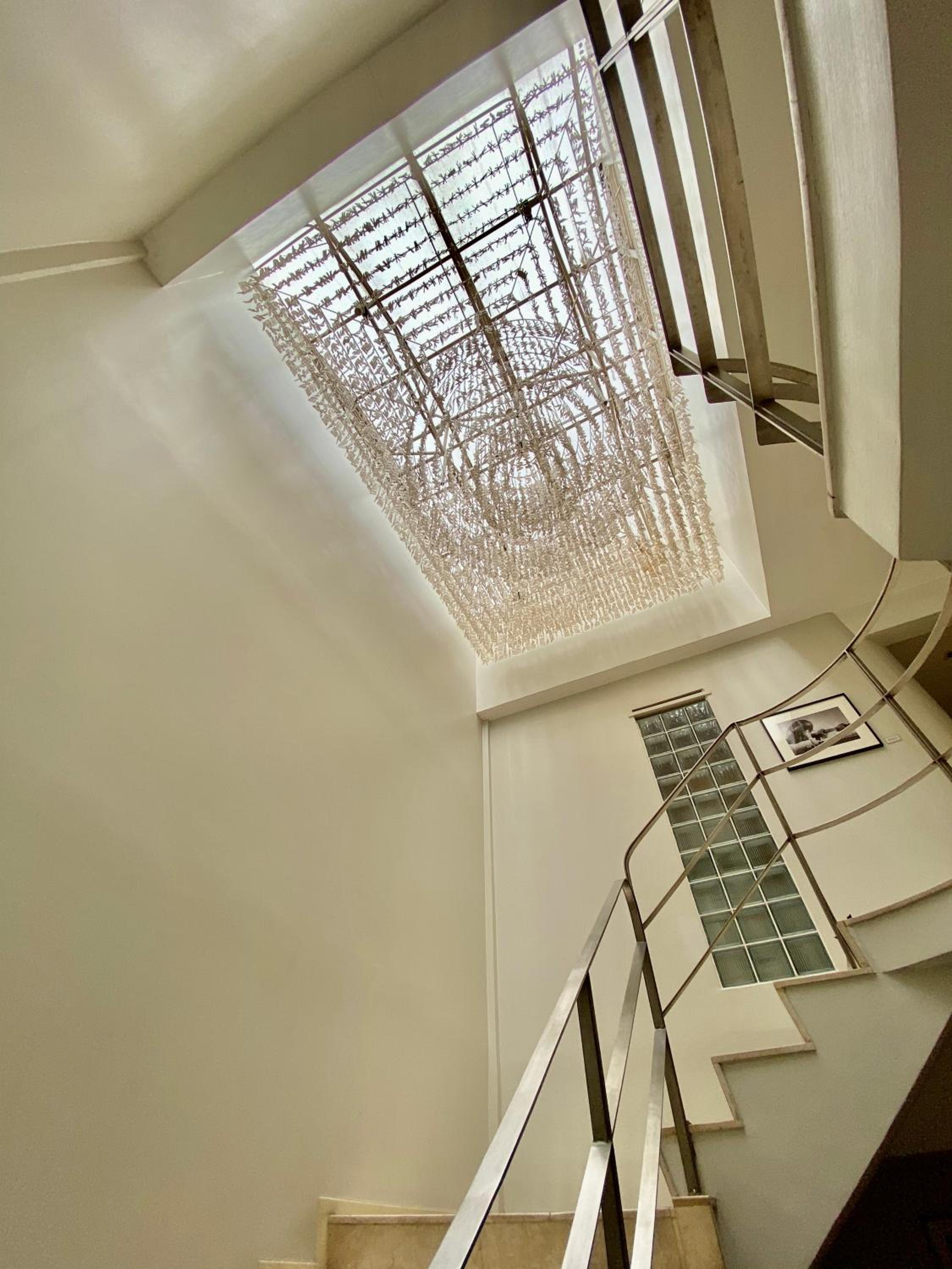 Photo 47