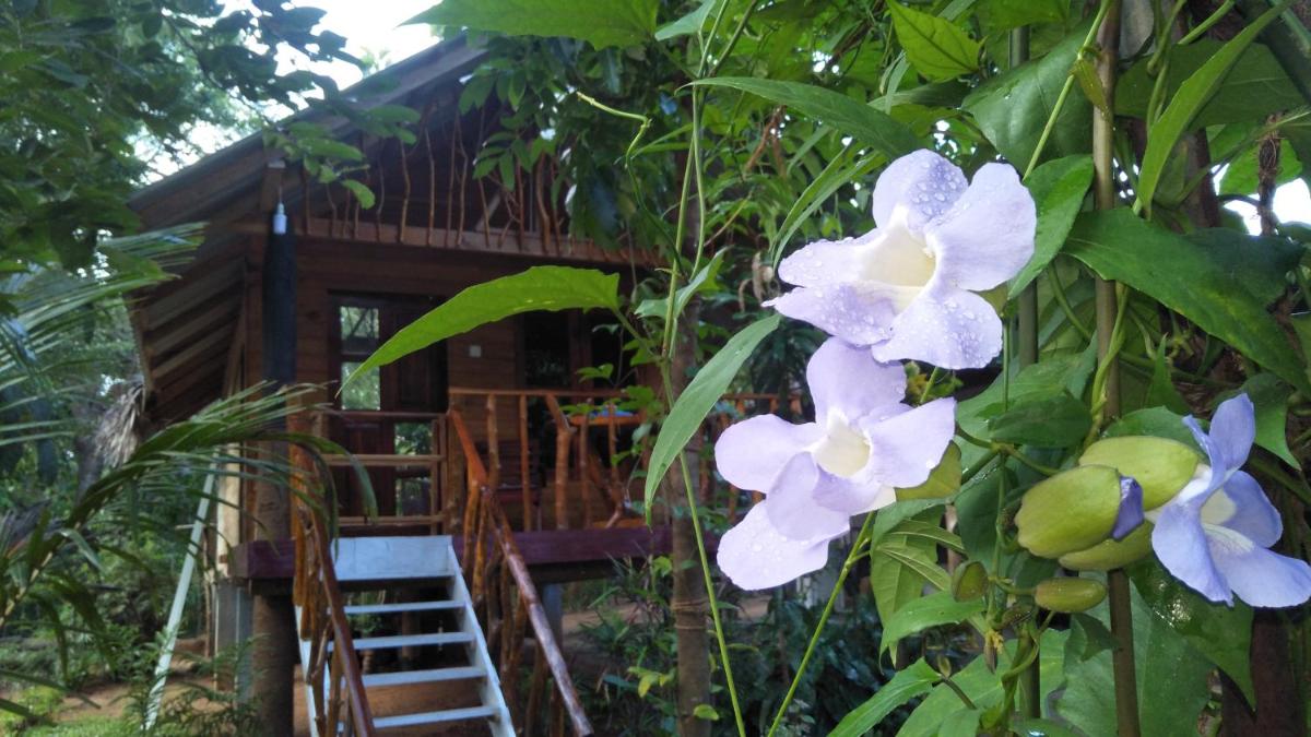 Shan Home Stay Sigiriya view 2