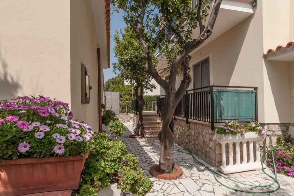 Sperlonga Apartments - Private Beach Street