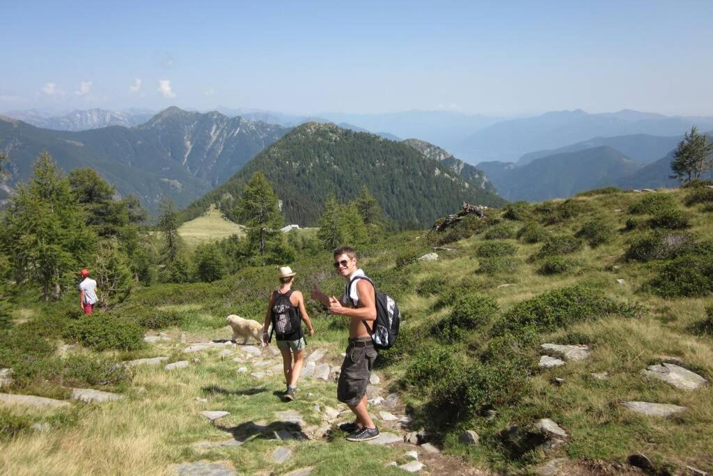 Wild Valley Tiny Escape