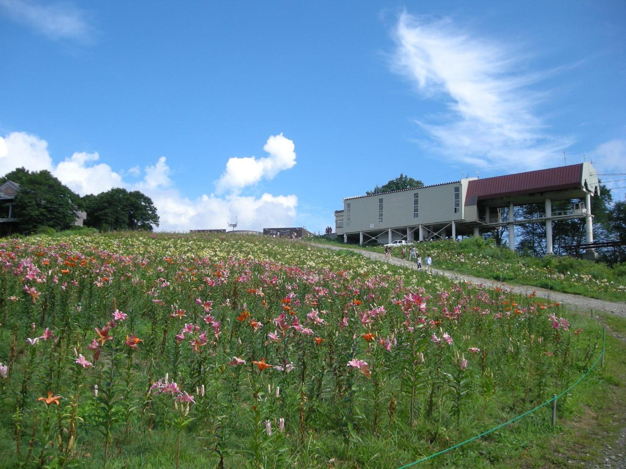 Villa Komakusa 7