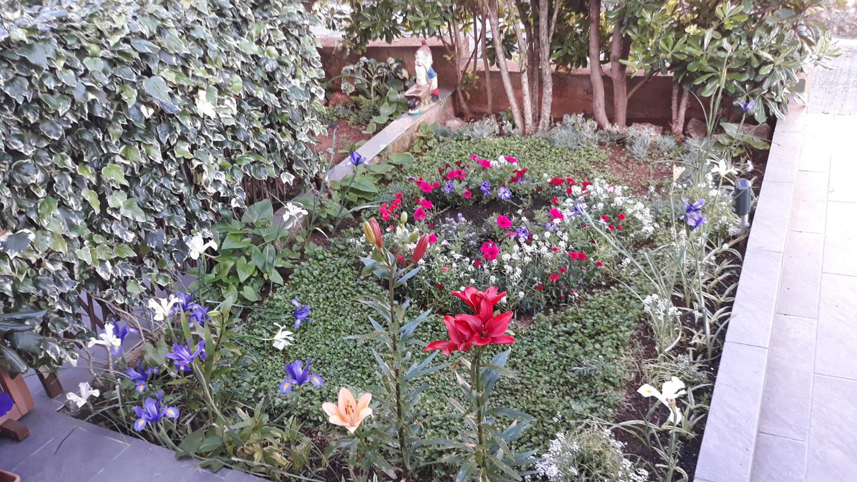 Photo 22