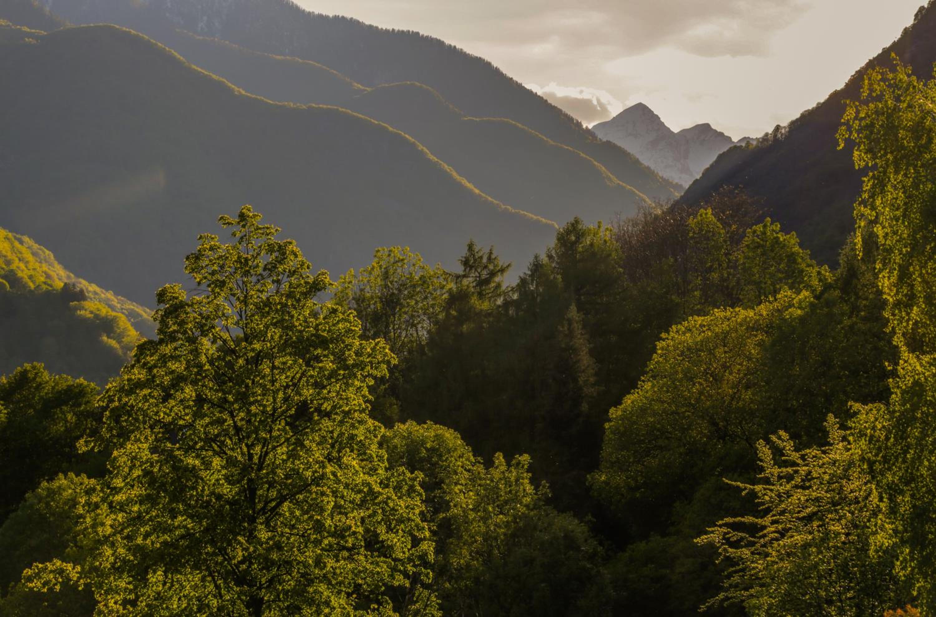 Wild Valley Rustico Grande