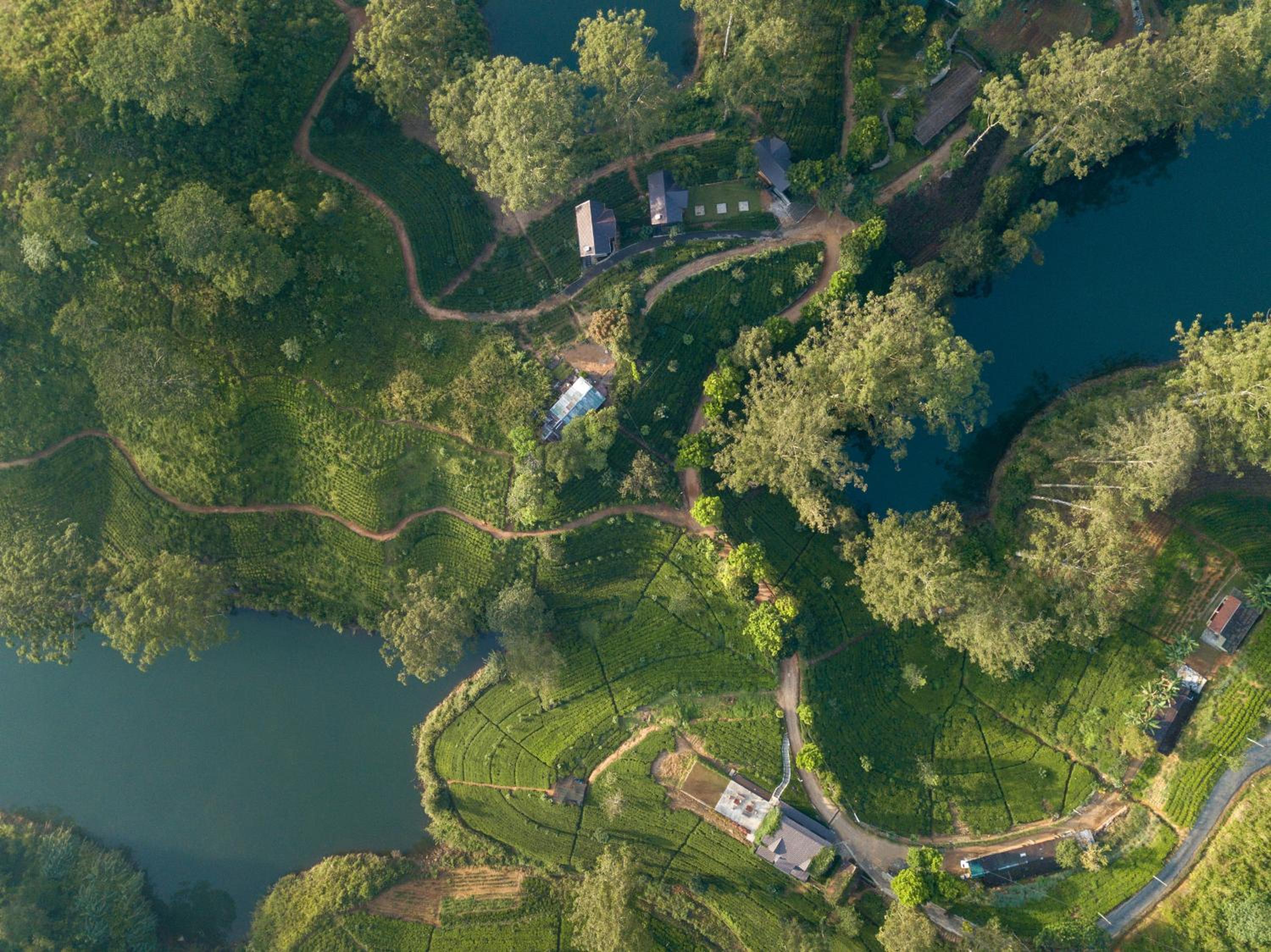 The Farm Resorts