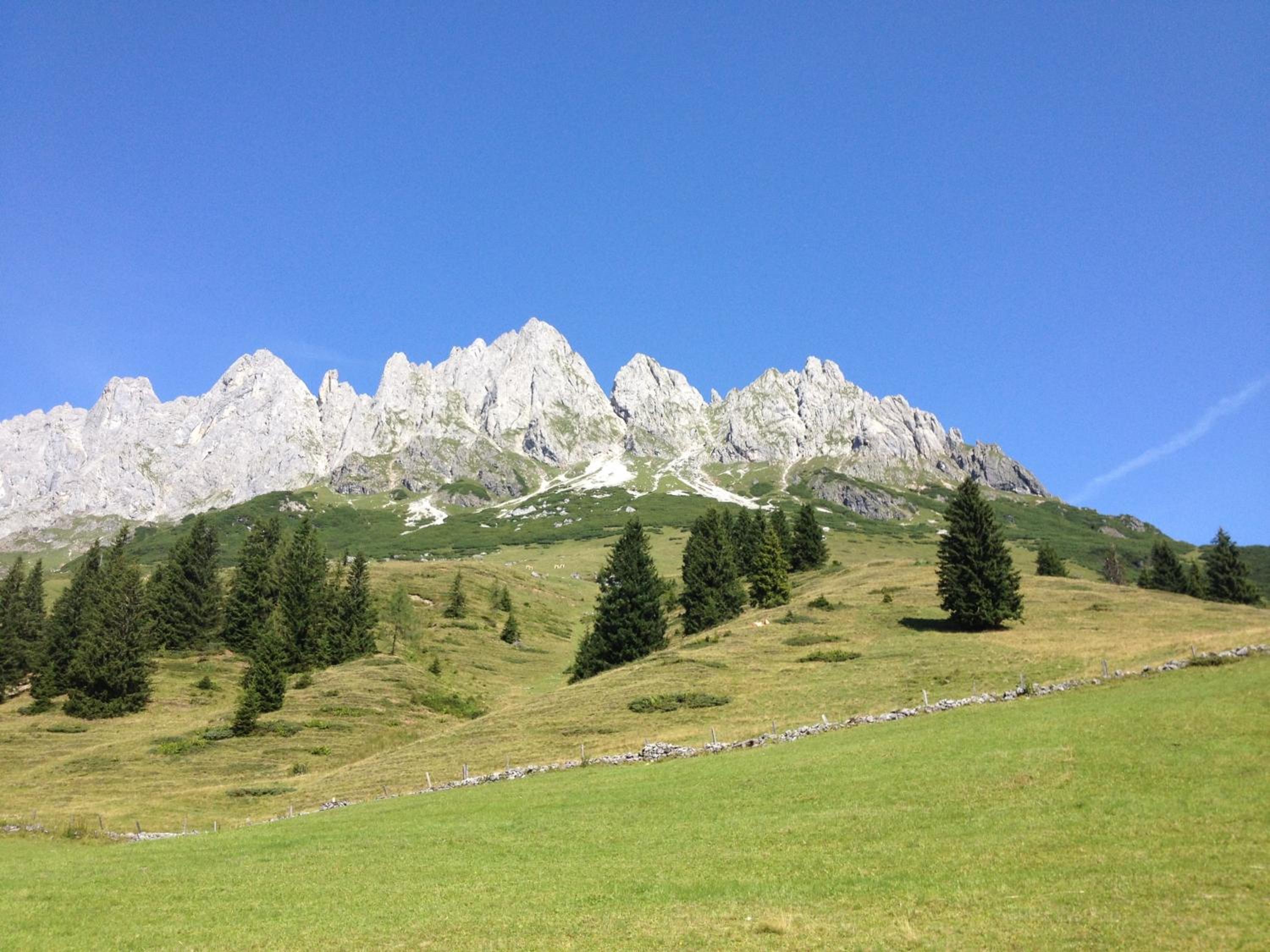 Photo 21