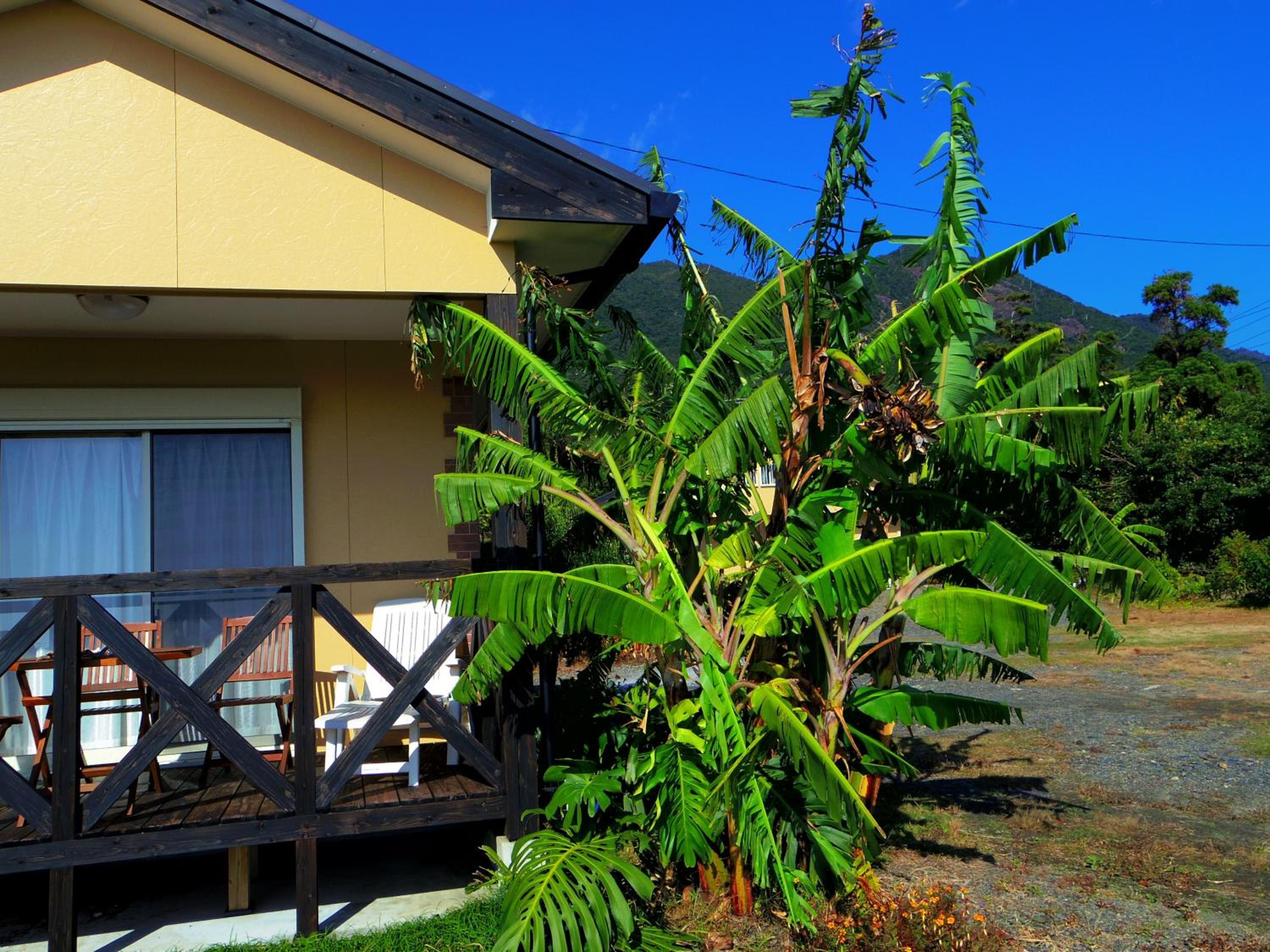 森のフェアリー Cottage Morino Fairy All cotage with open-air bath with sea view or river view