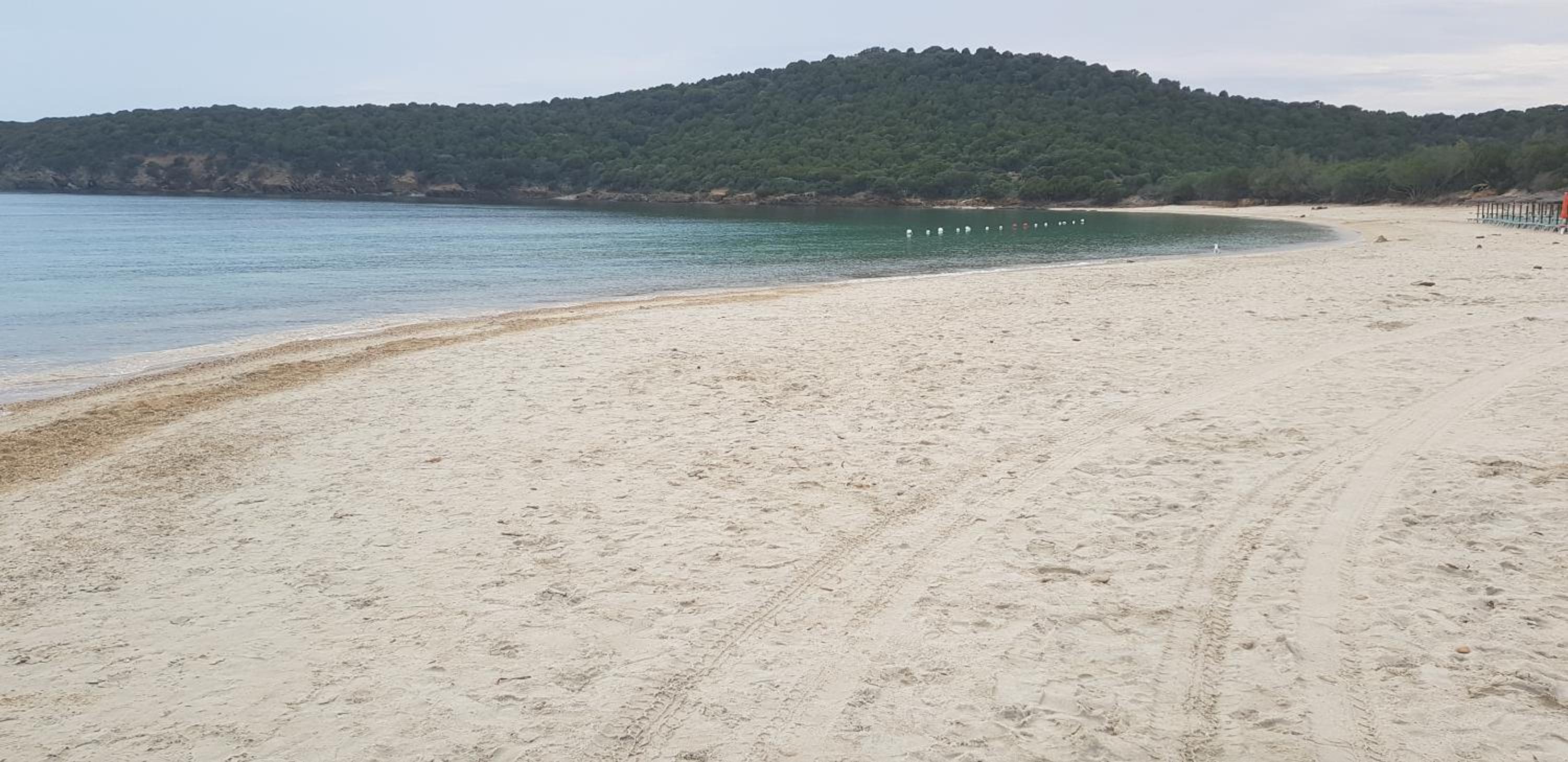 L'Onda Blu