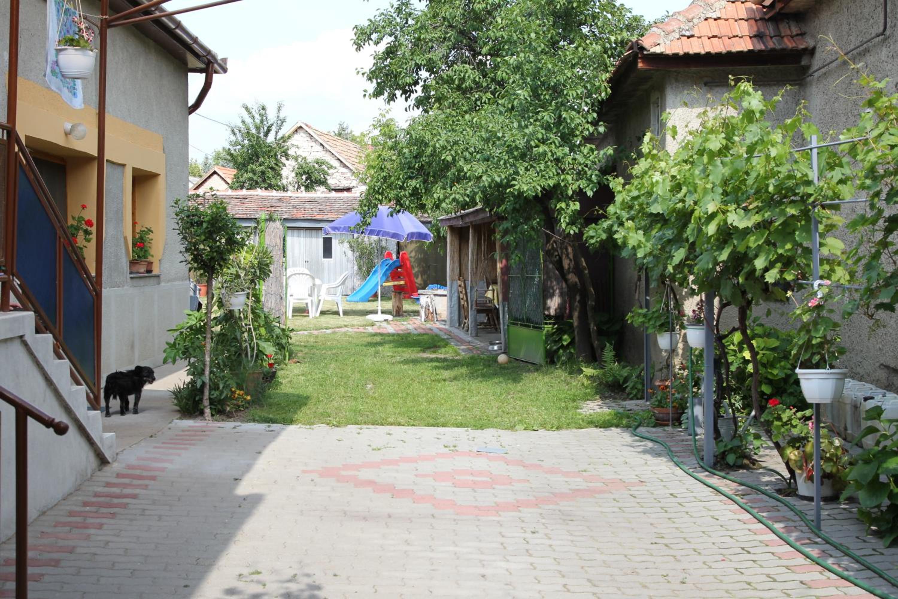 Photo 18