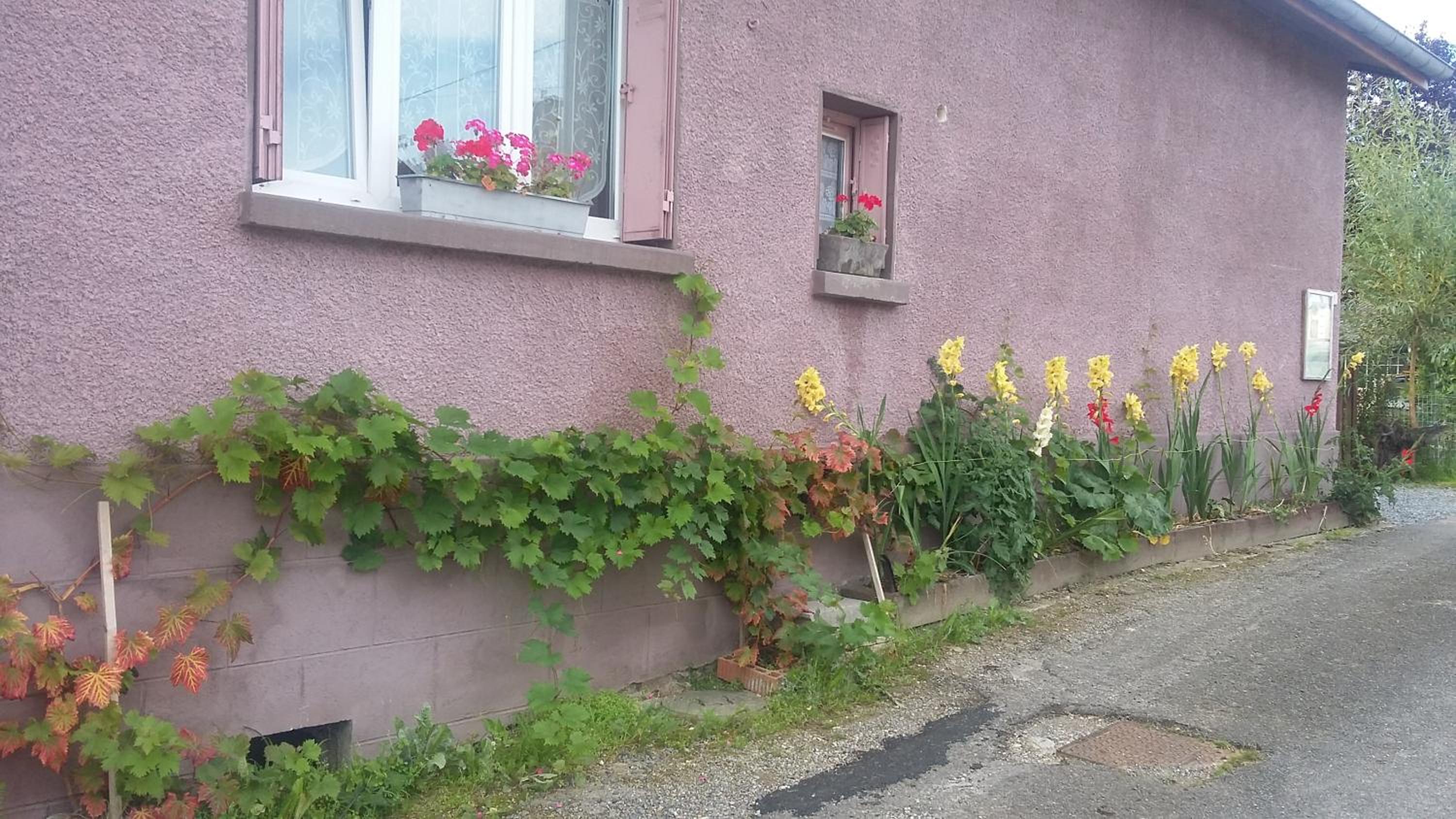 Photo 44