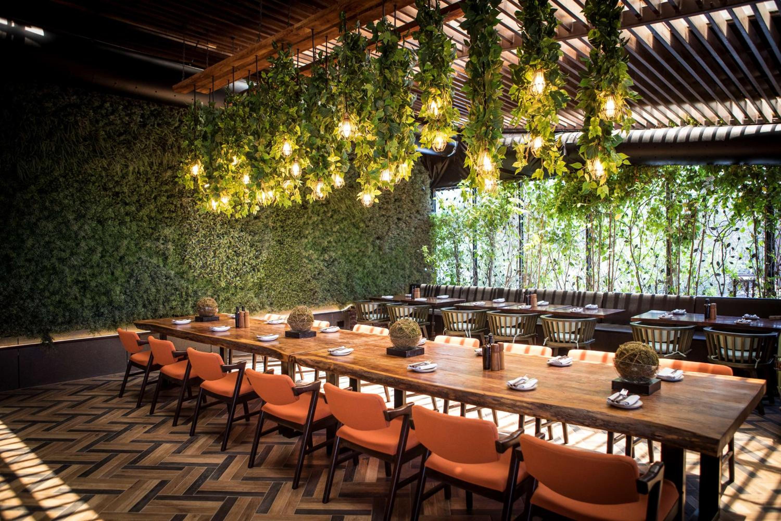 Yas Plaza Mangroves by IHG