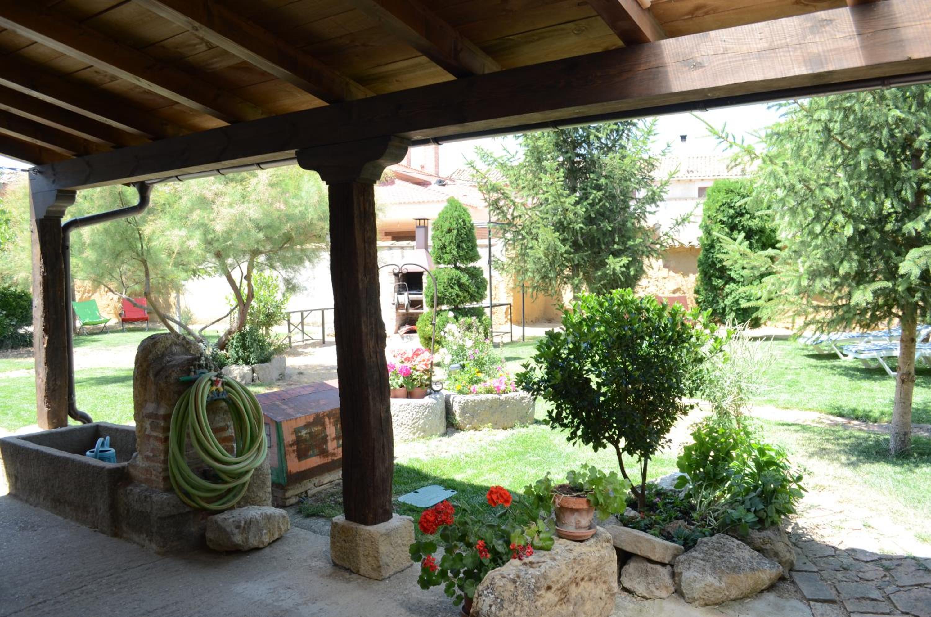 Photo 11
