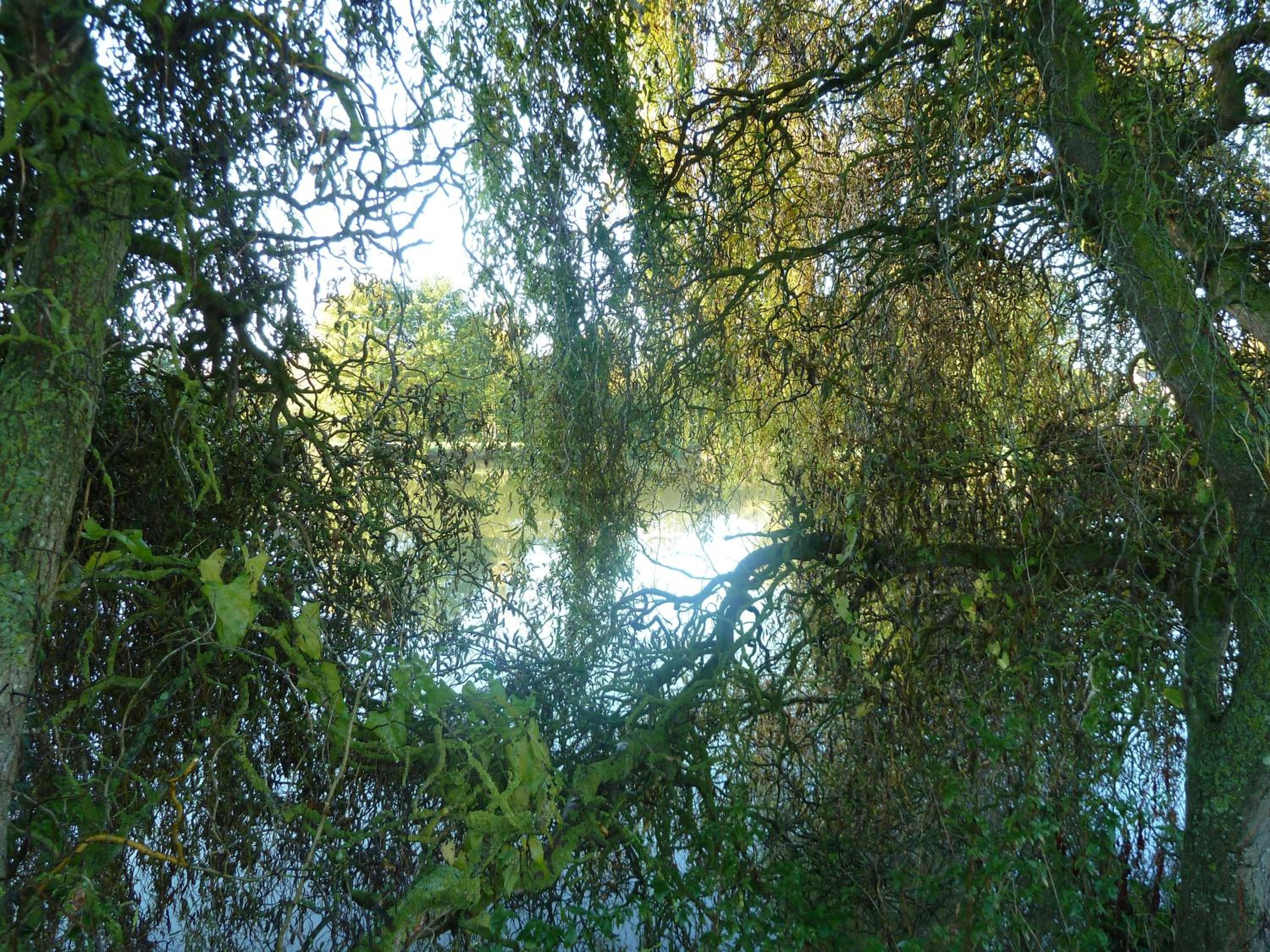Photo 34