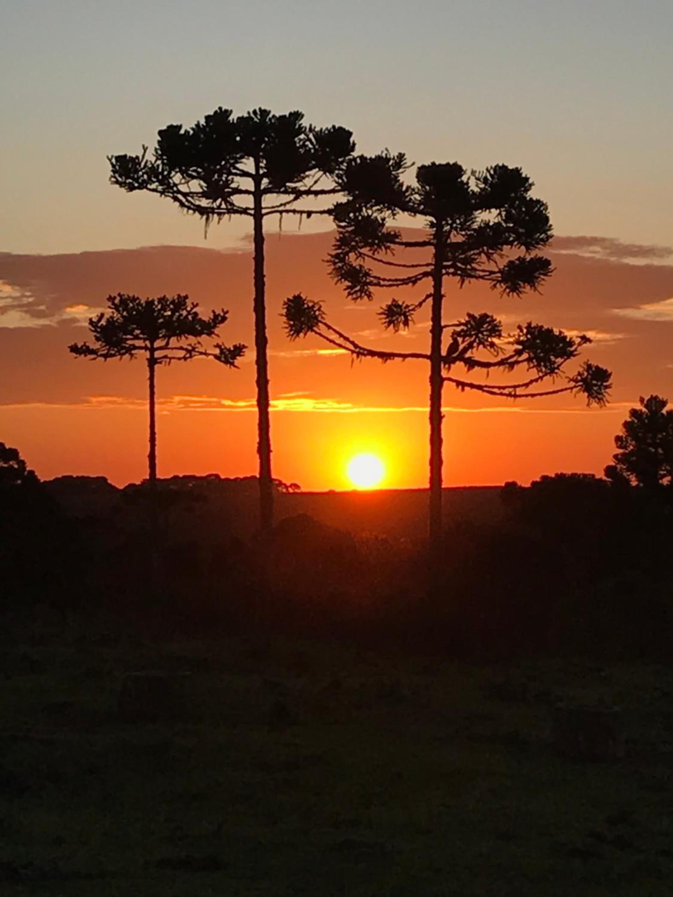 Estalagem Carucacas