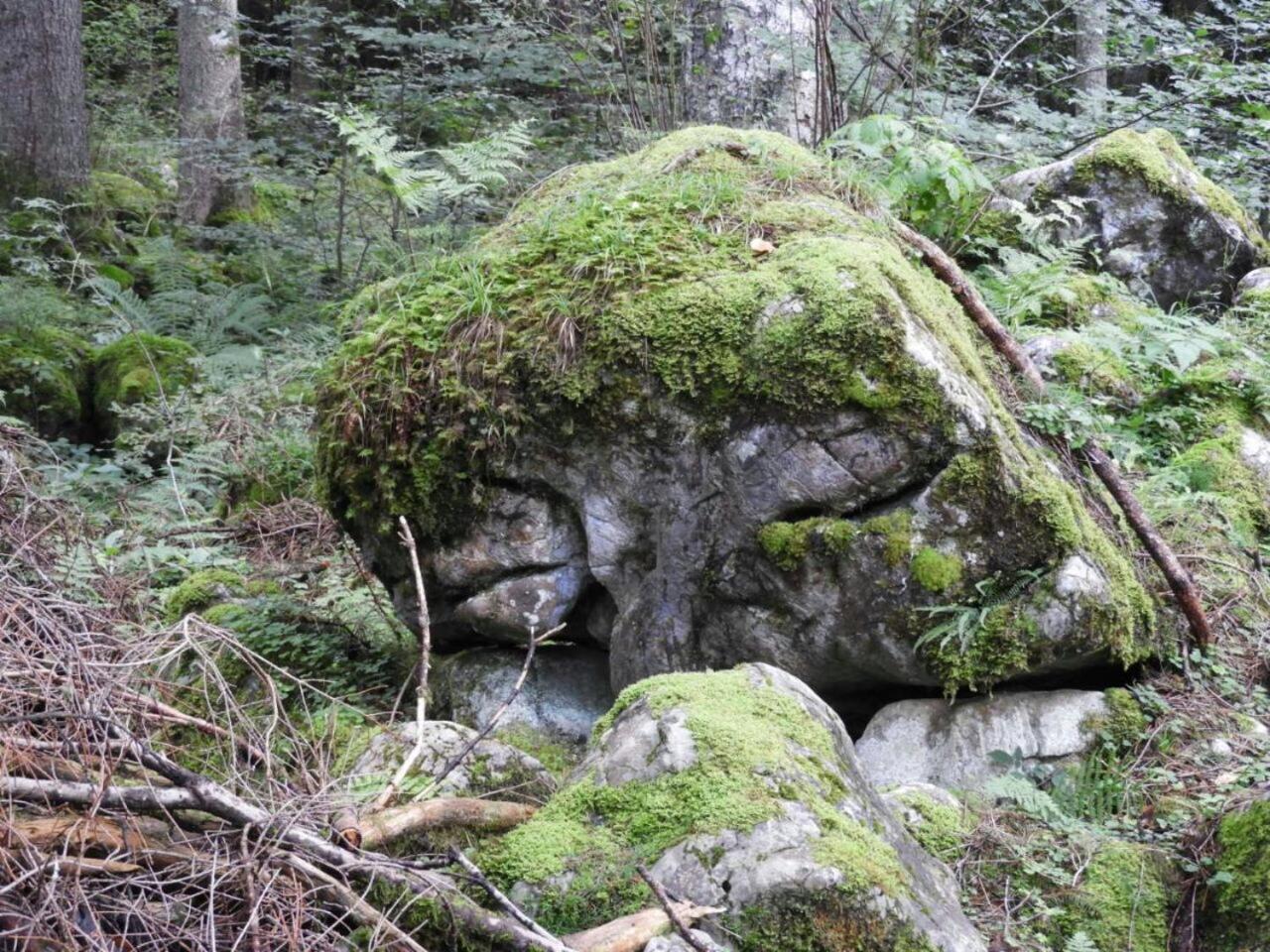 Krähenberg am Rande der Wildnis