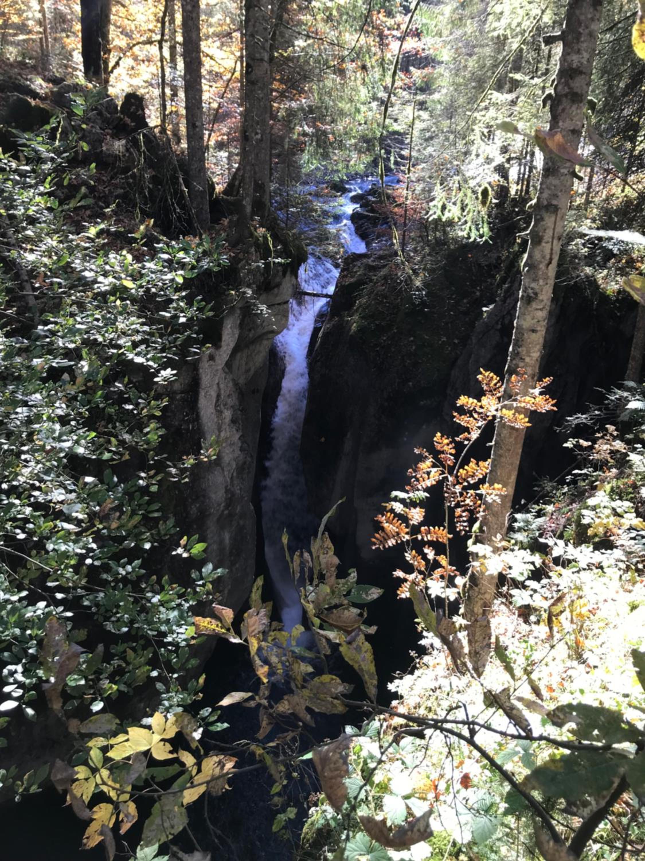 Krähenberg am Rande der Wildnis