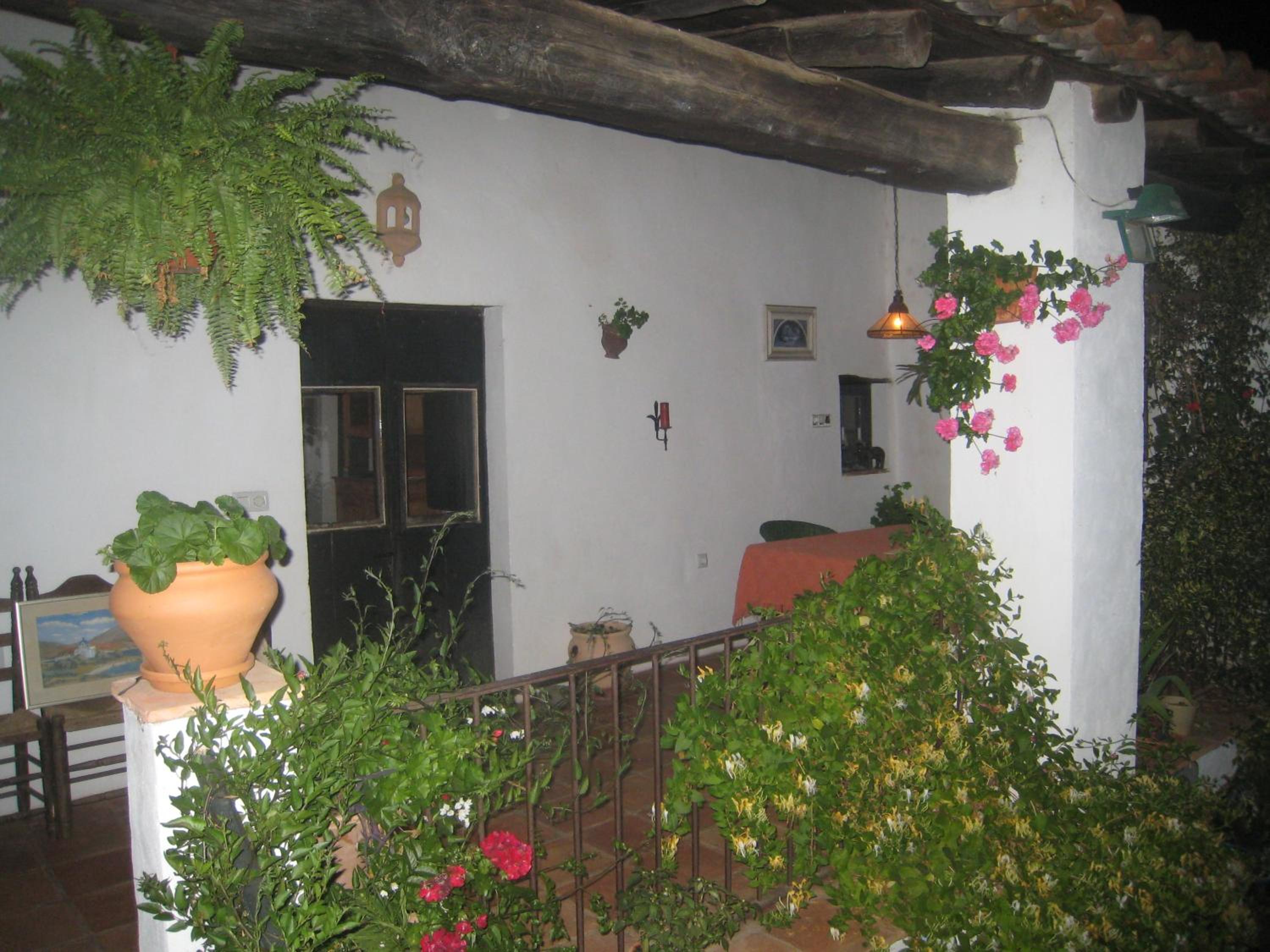 Photo 26