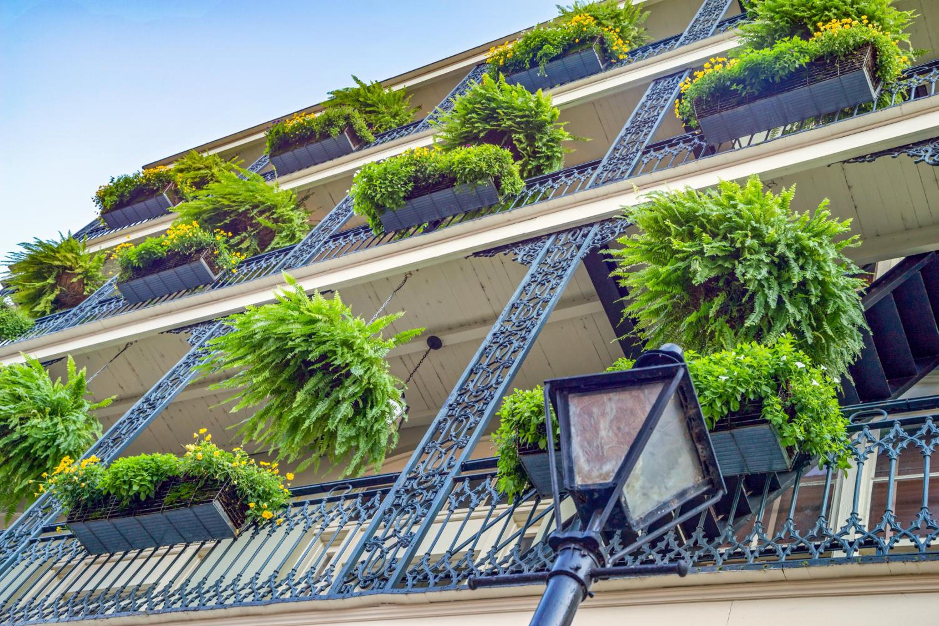 Crowne Plaza New Orleans French Qtr - Astor by IHG 131