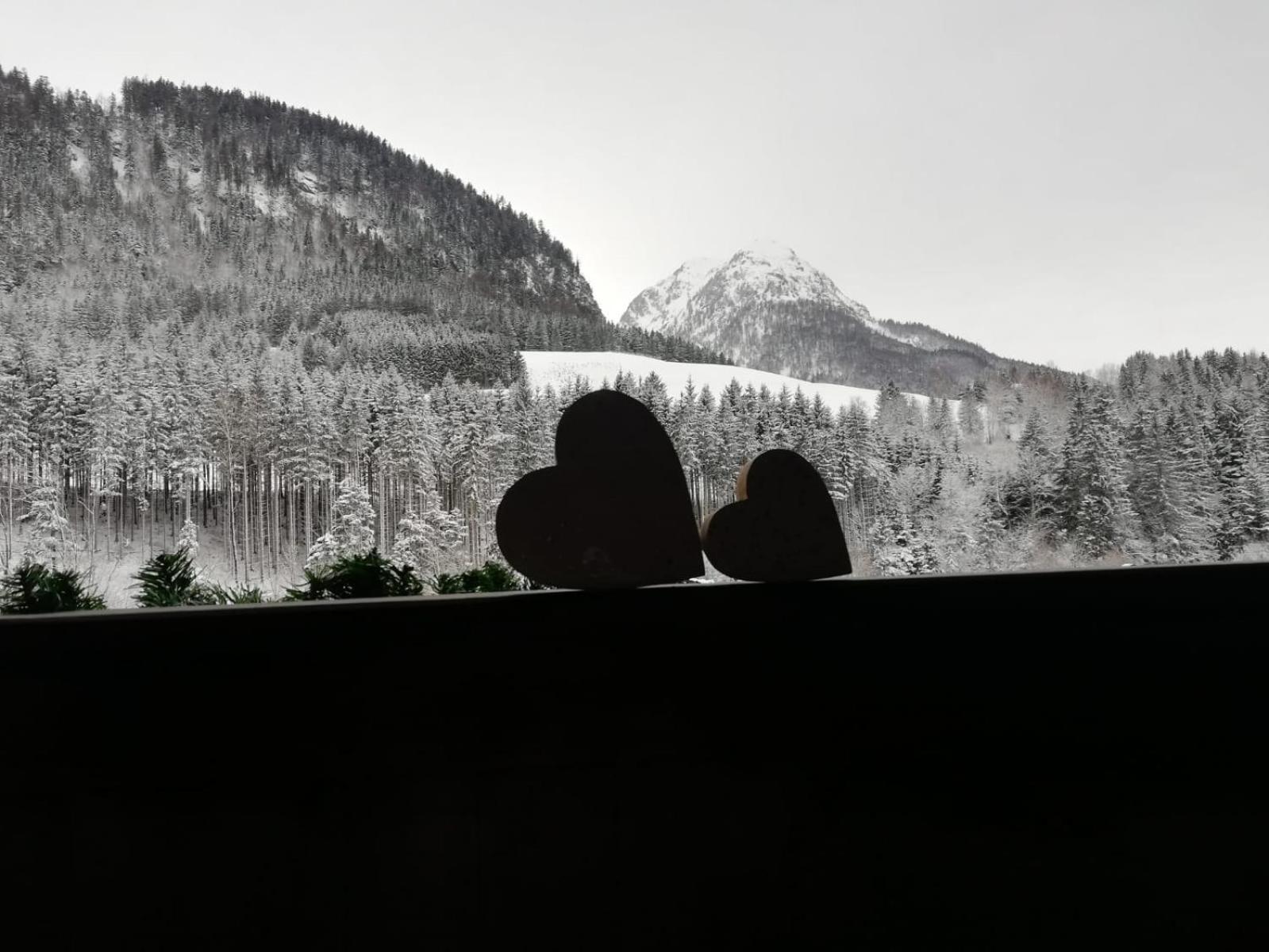 Appartement Leh