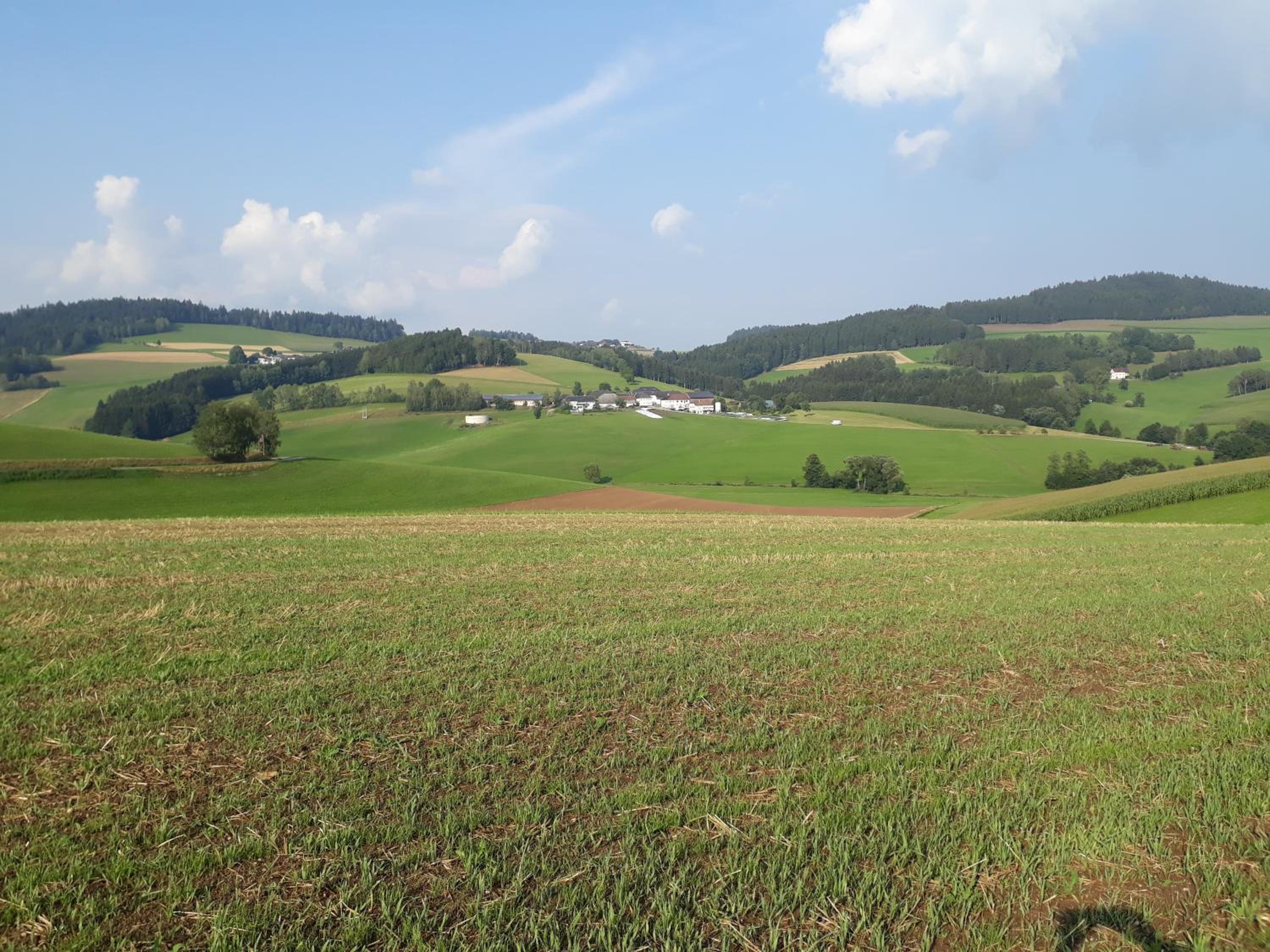 Ferienwohnung-Mühlviertel